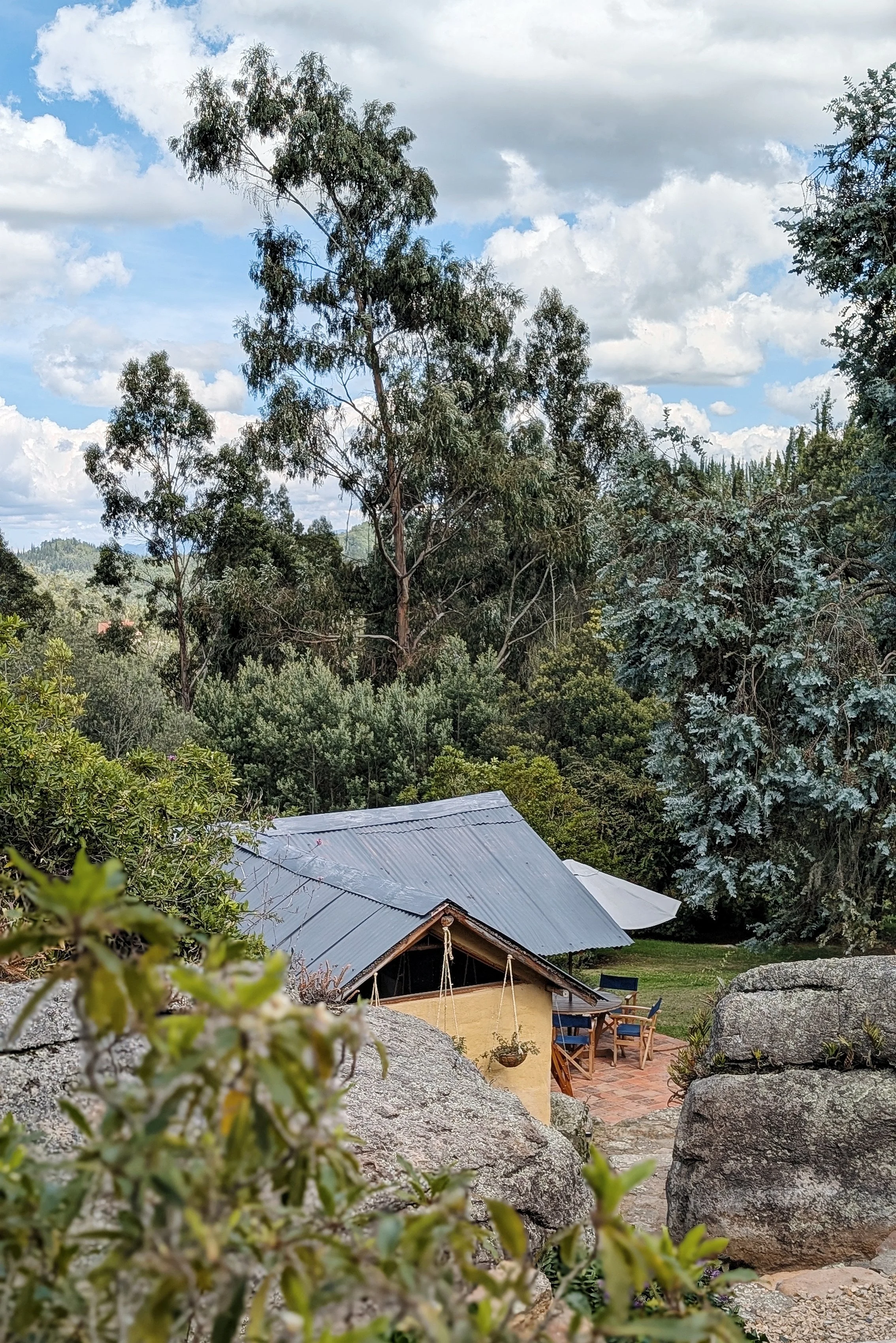 PXL_20251225_184242012.PORTRAIT (1).jpg