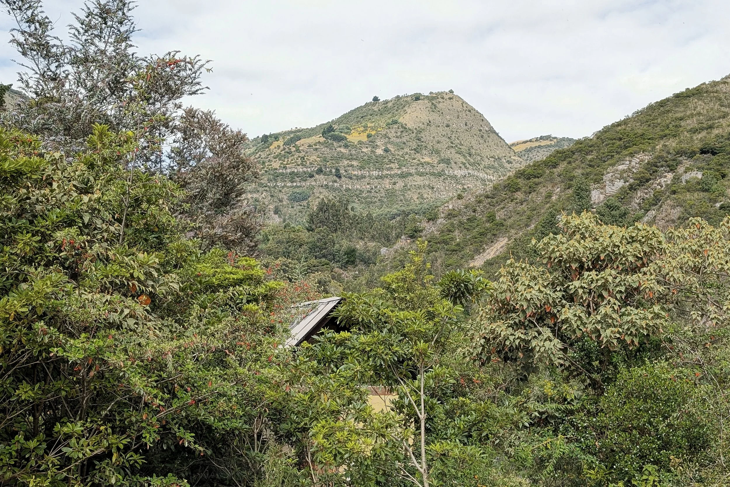 PXL_20251225_140500523 (1).jpg