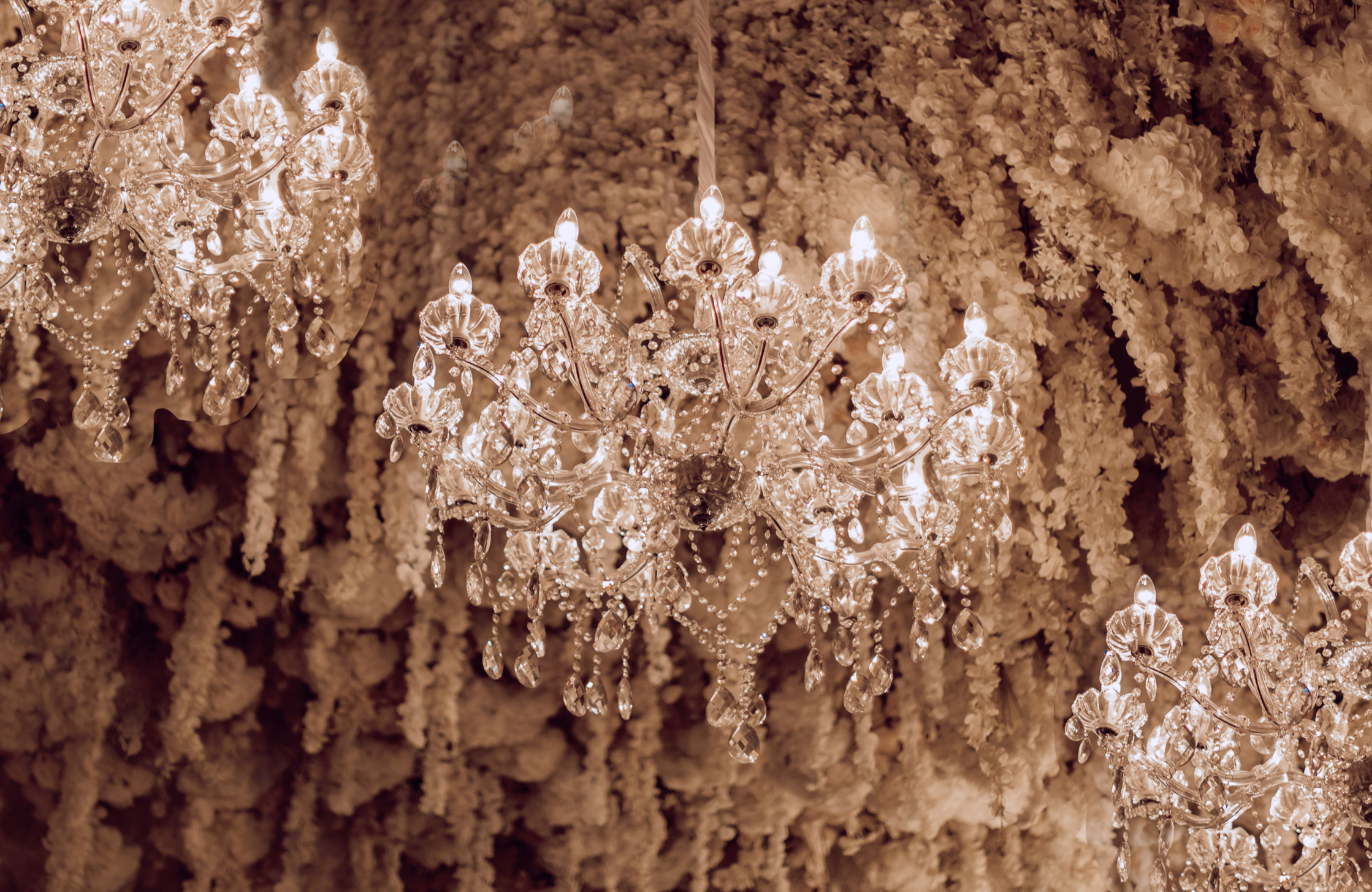 Screen Shot 2020-12-07 at 8.37.17 PM 2.PNG