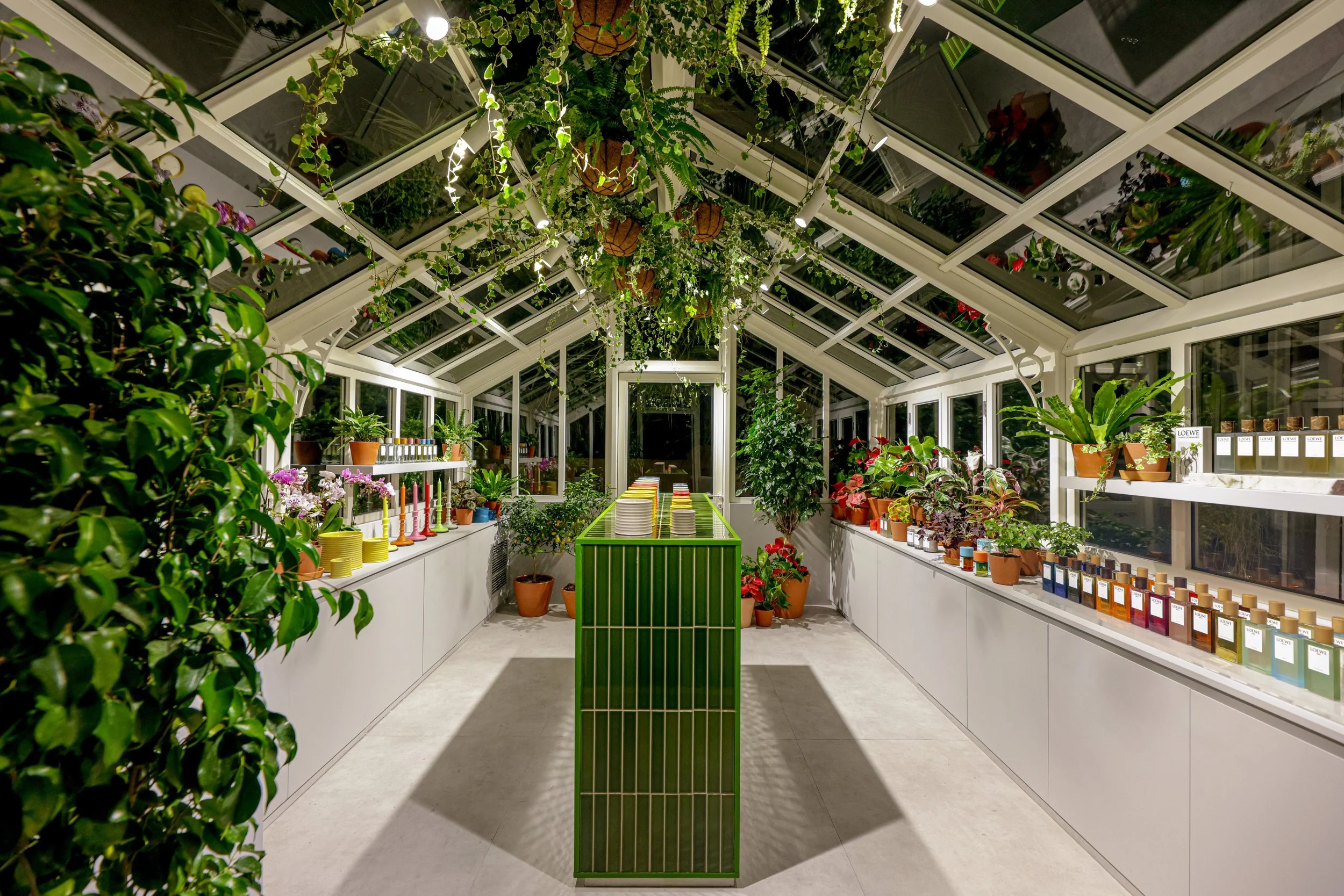 Tezza-5271 low res.jpg