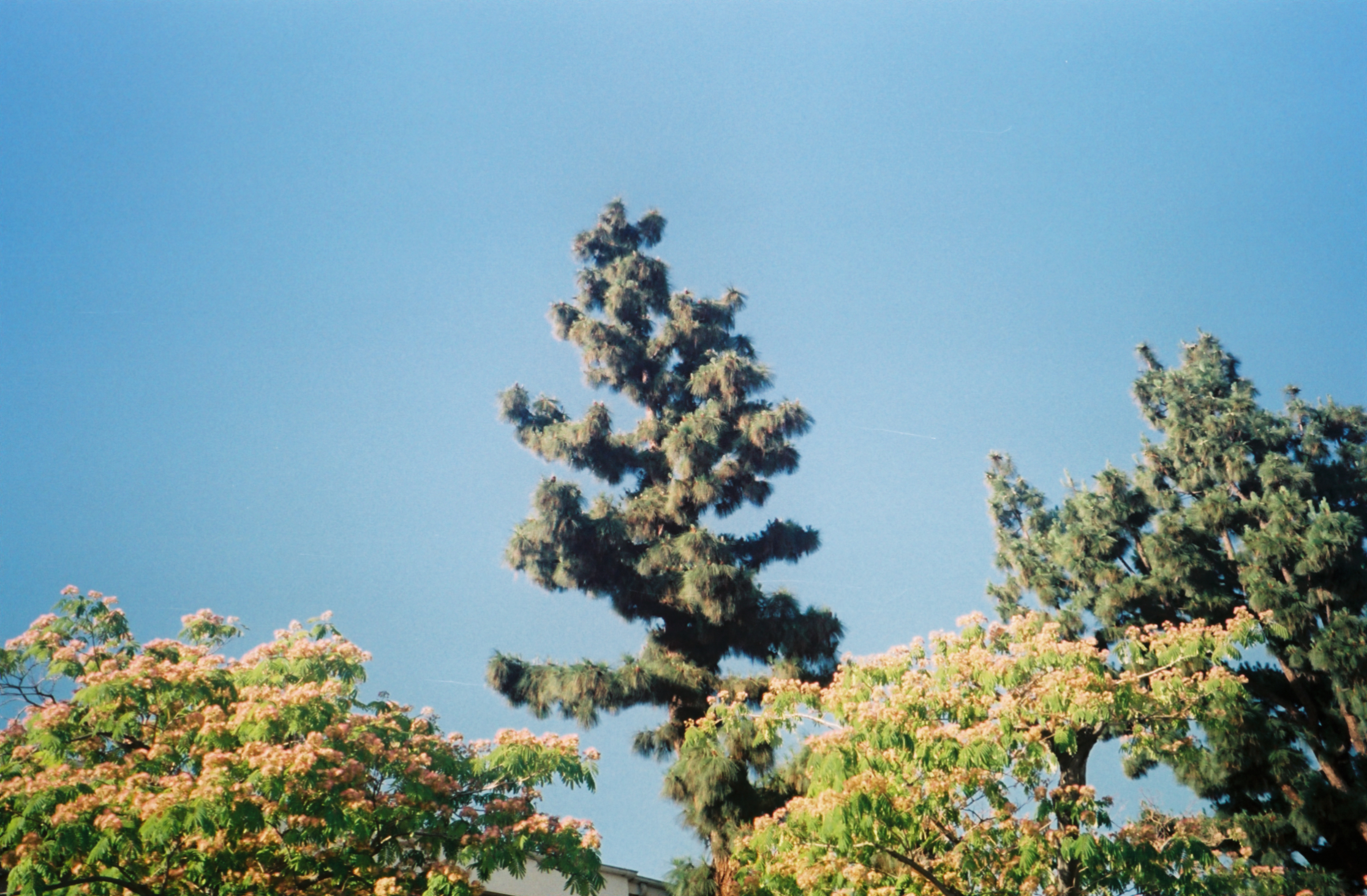 071400_071400-R1-3A.jpg