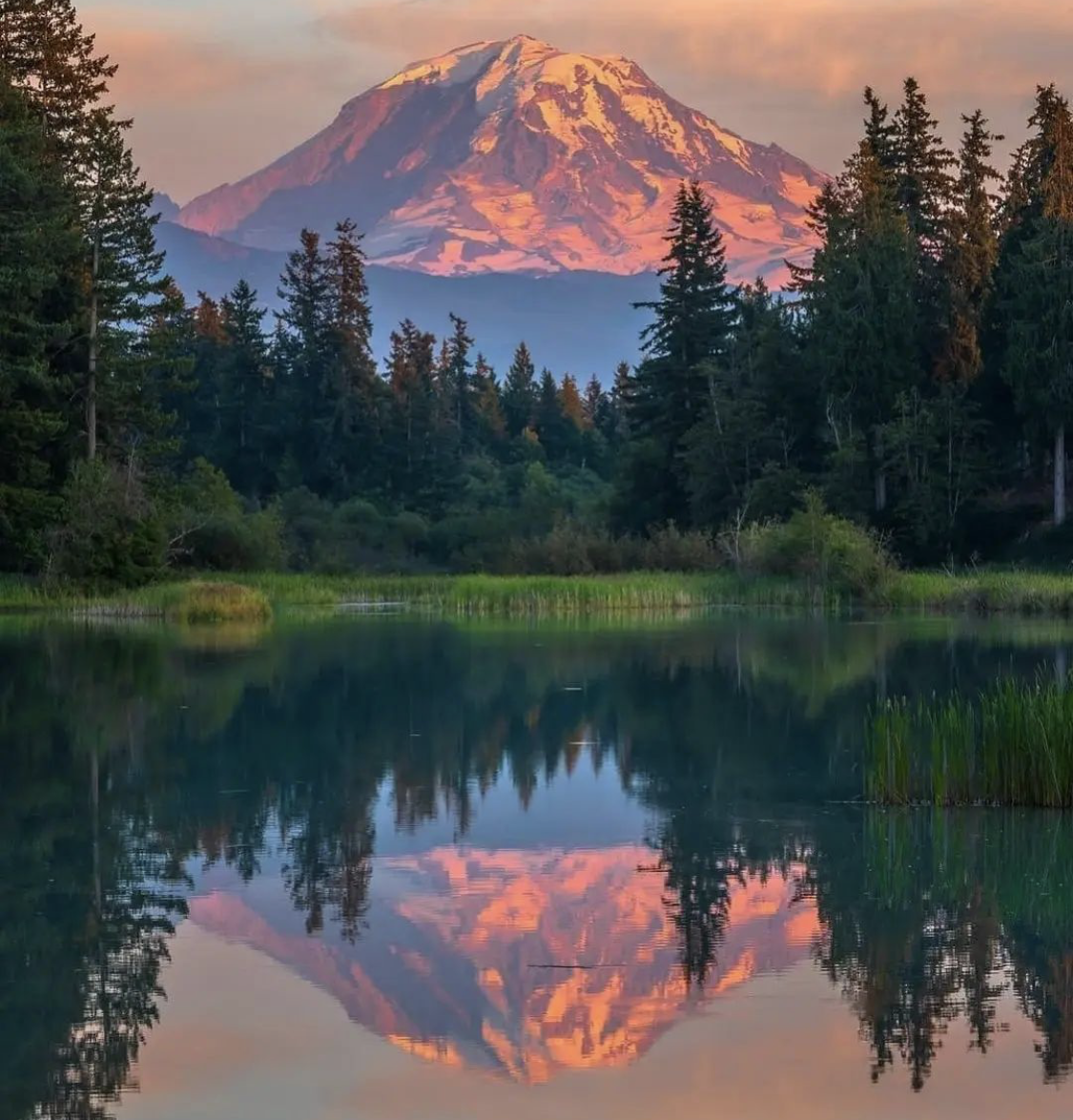 Nothing Is Immutable