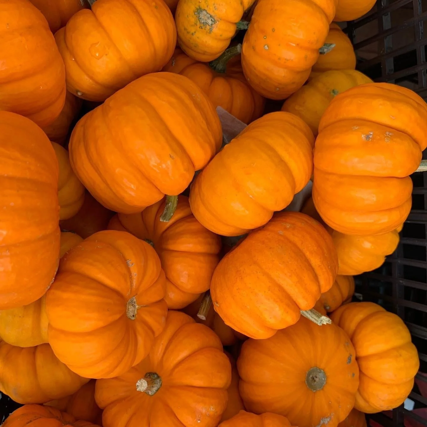 Fall Back Into Routine