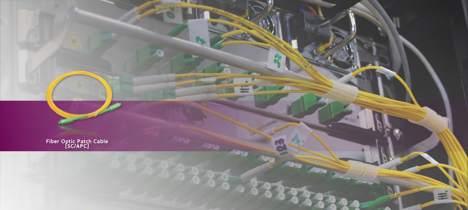  Increase the Flexibility of Your Network   Fiber Patch Cables &amp; Pigtails    Learn More  