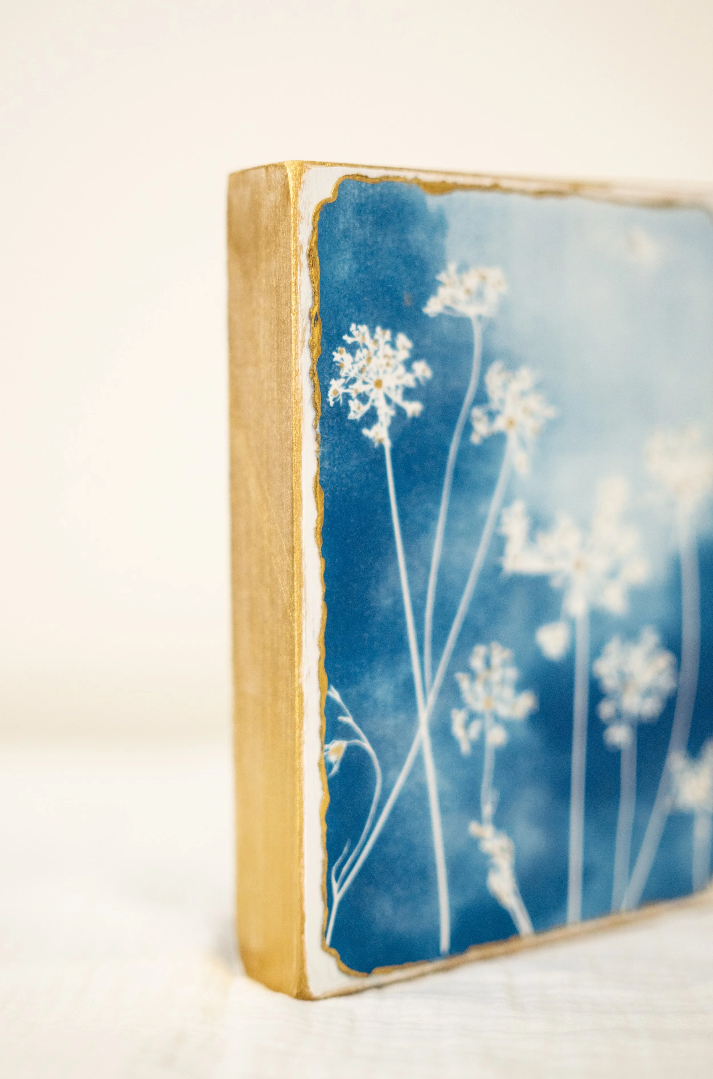cyanotypes-7.jpg
