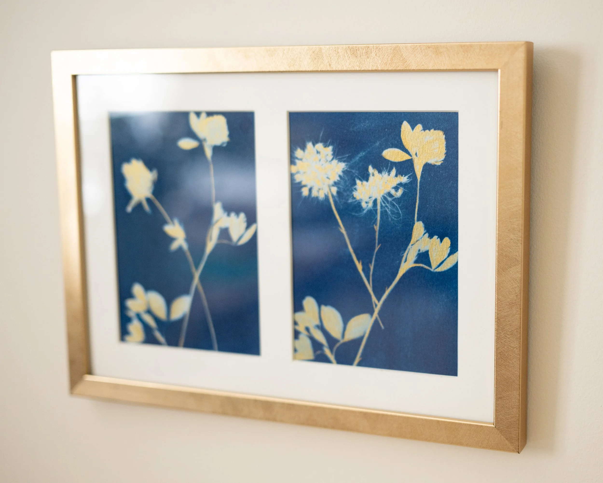 cyanotypes-11.jpg