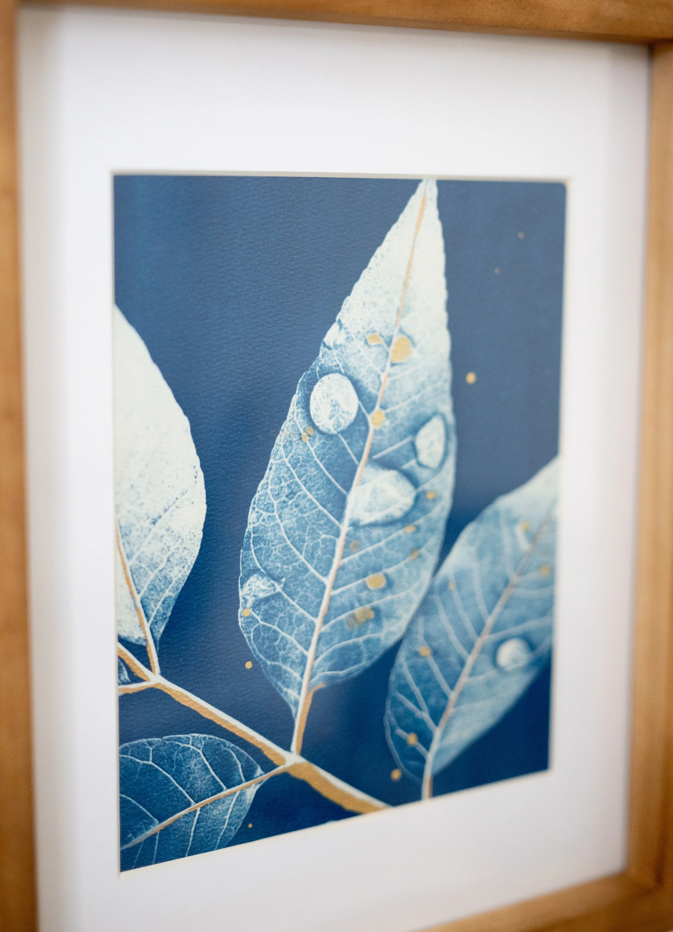 cyanotypes-15.jpg