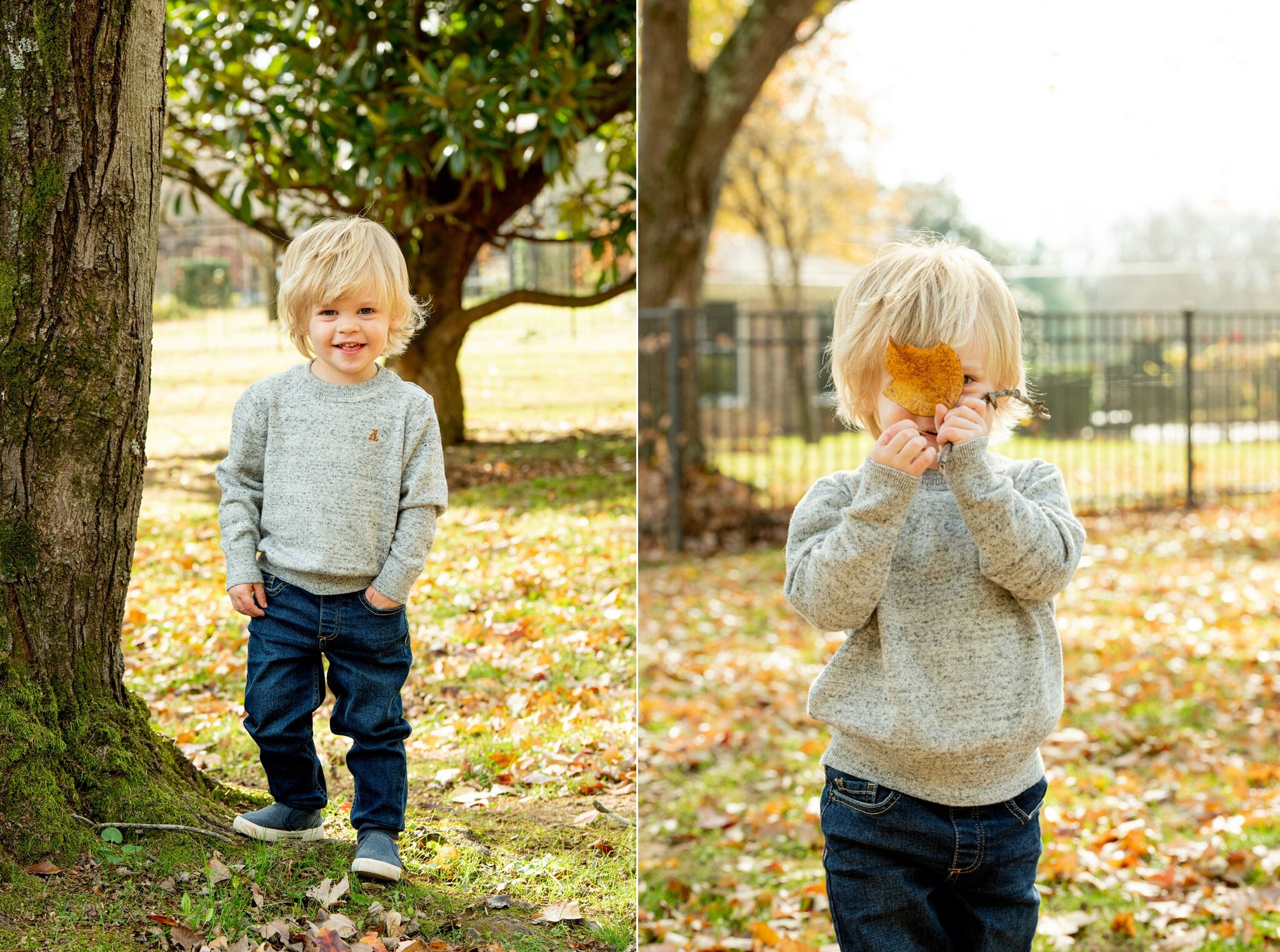 Family photographer