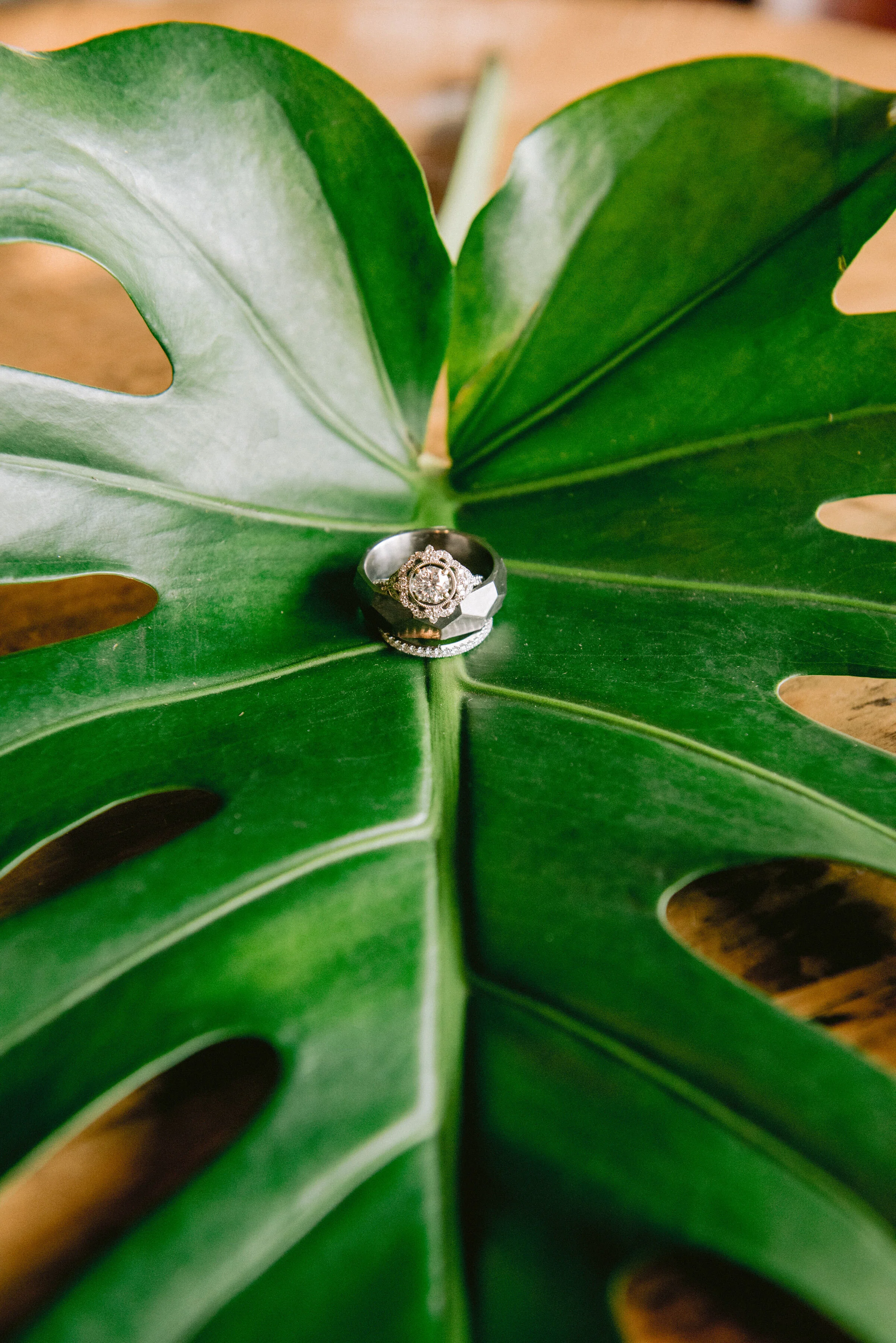  Wedding rings by Twila Allen of Twila’s Photography 