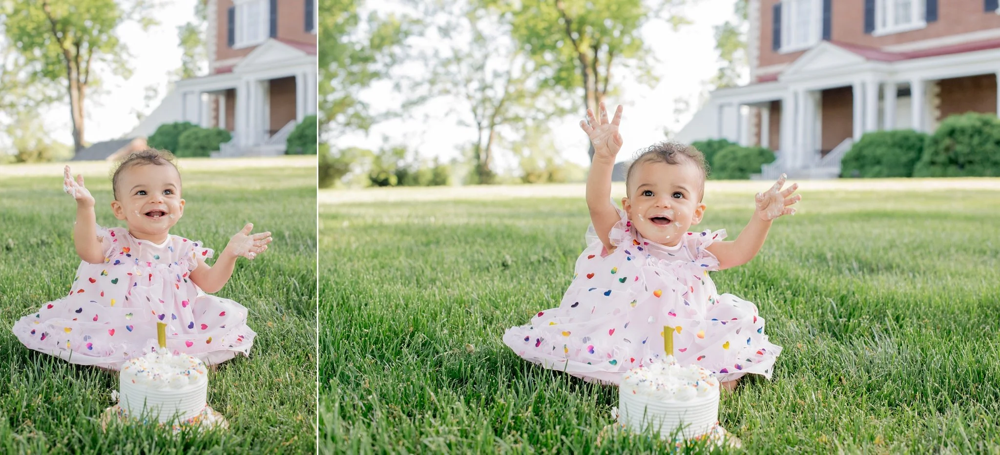 One Year Old Smash Cake Photos