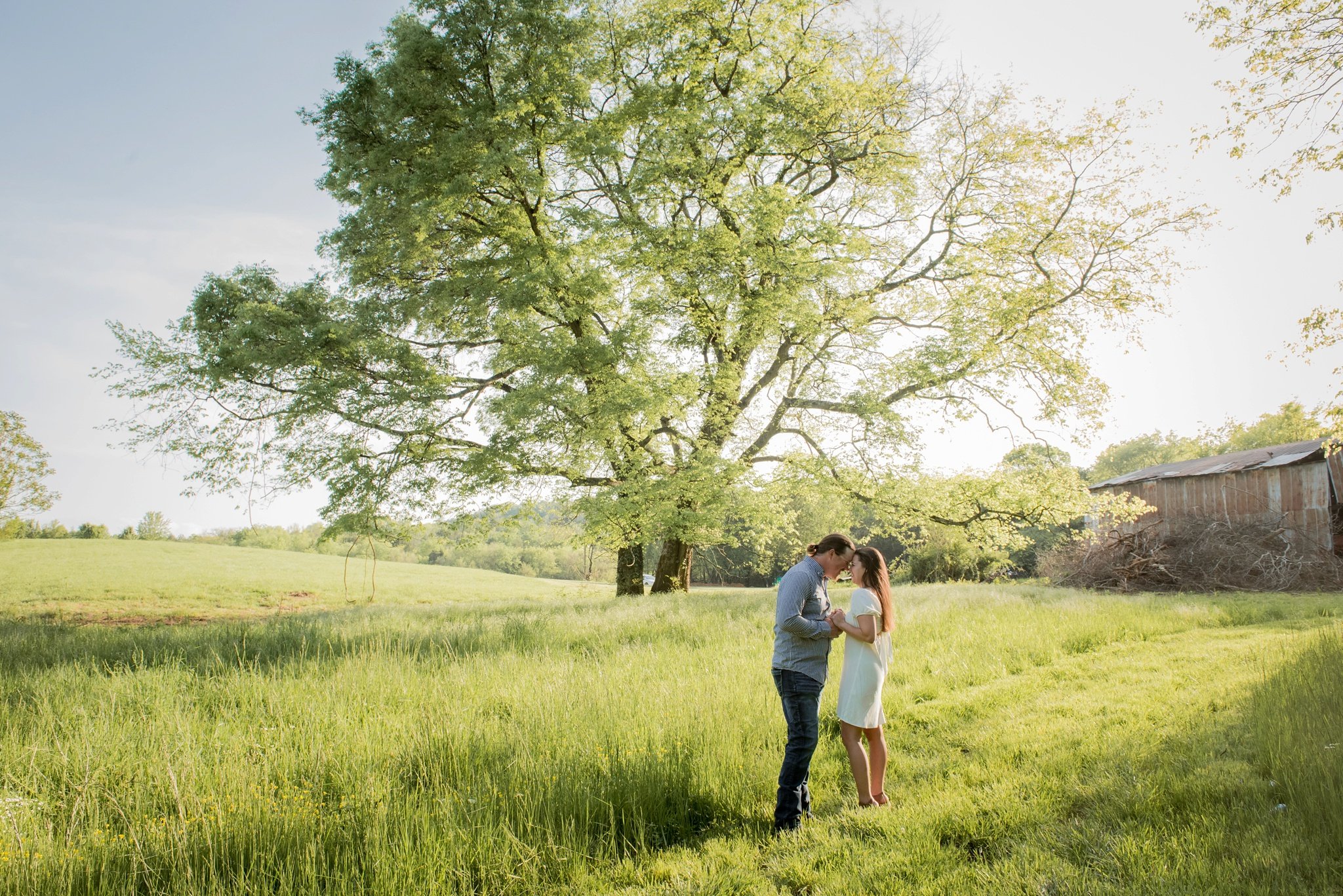 engagement photo in a field