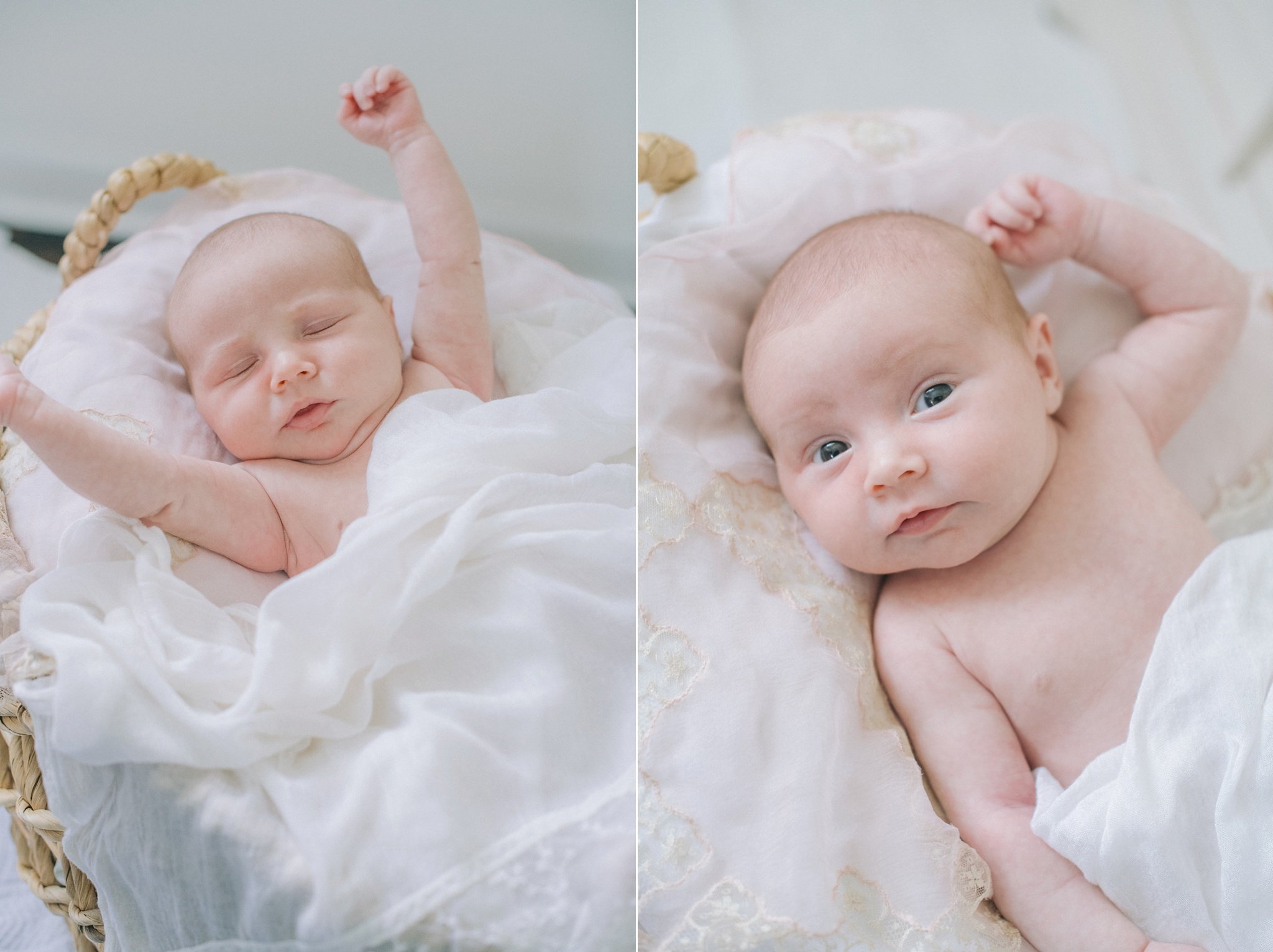 nashville newborn portrait