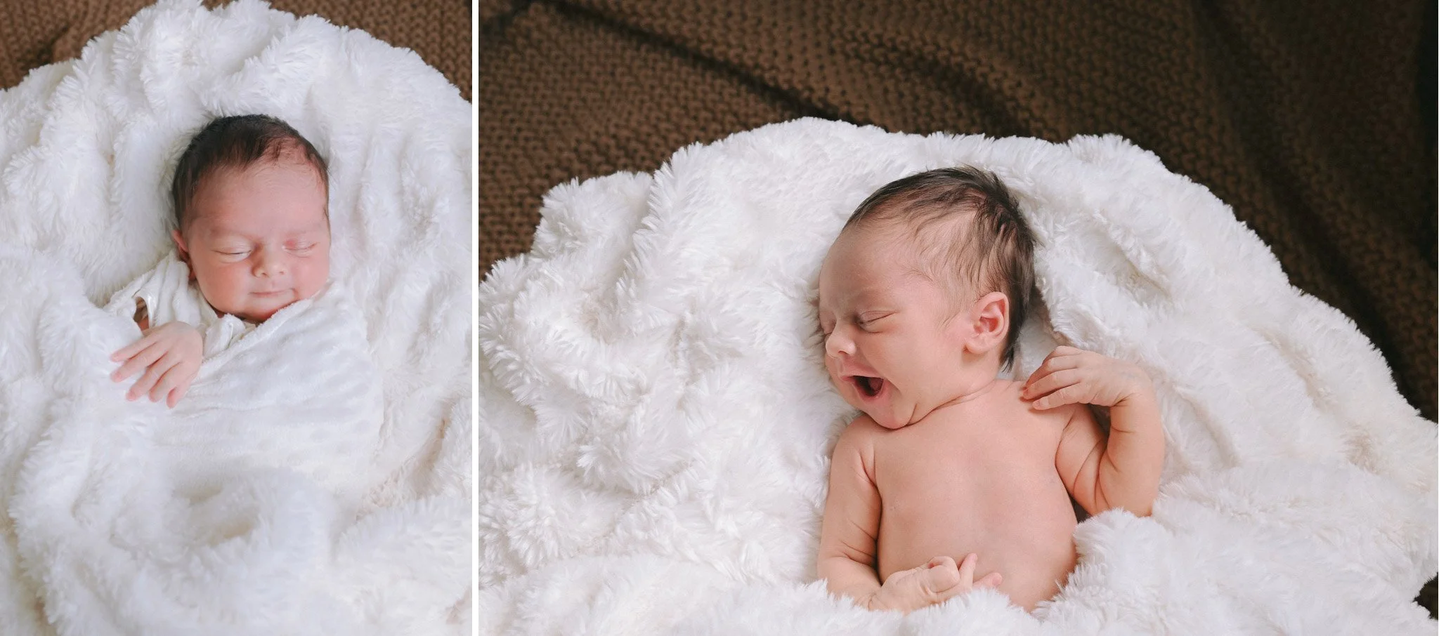 newborn session by twila's photography