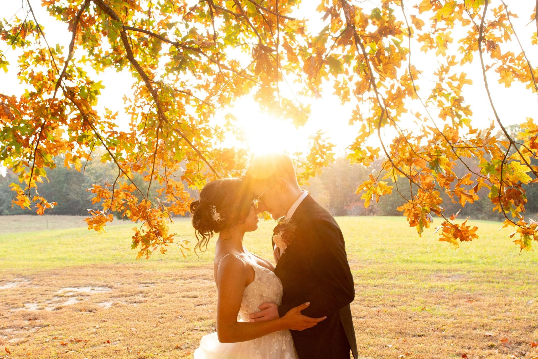 golden hour wedding photos at The Glass House