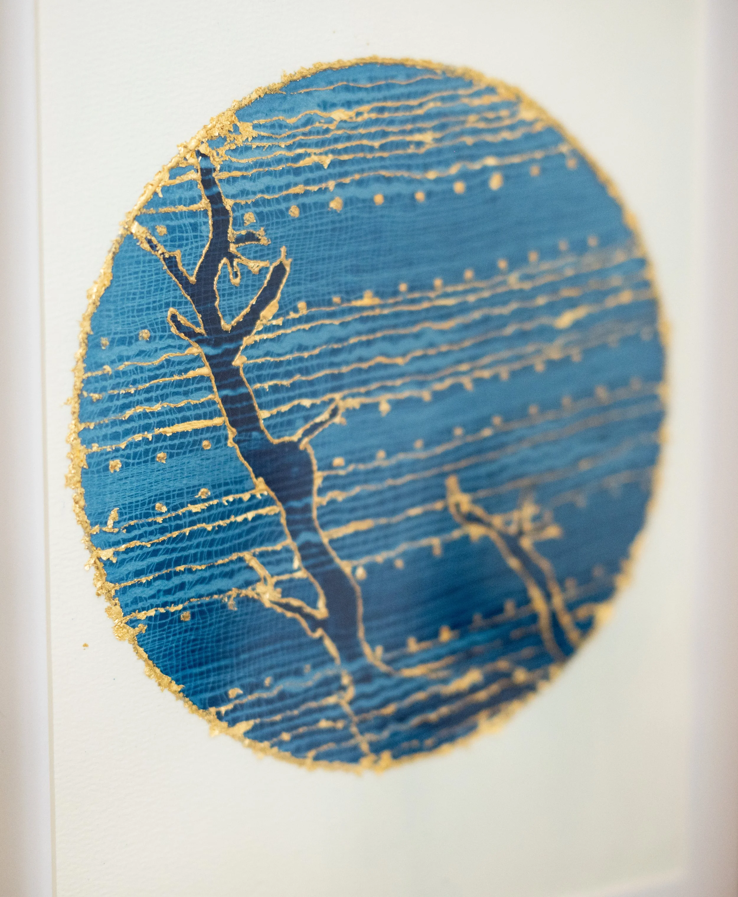 cyanotypes-13.jpg