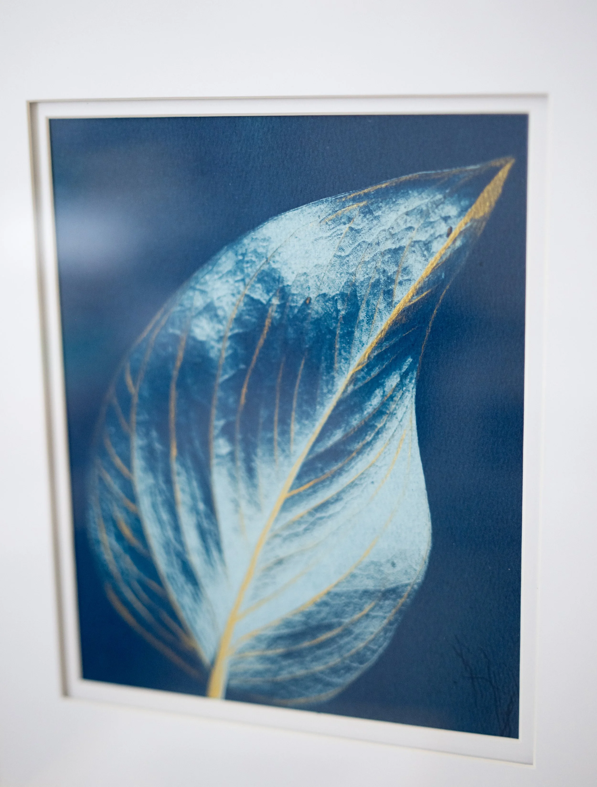 cyanotypes-26.jpg