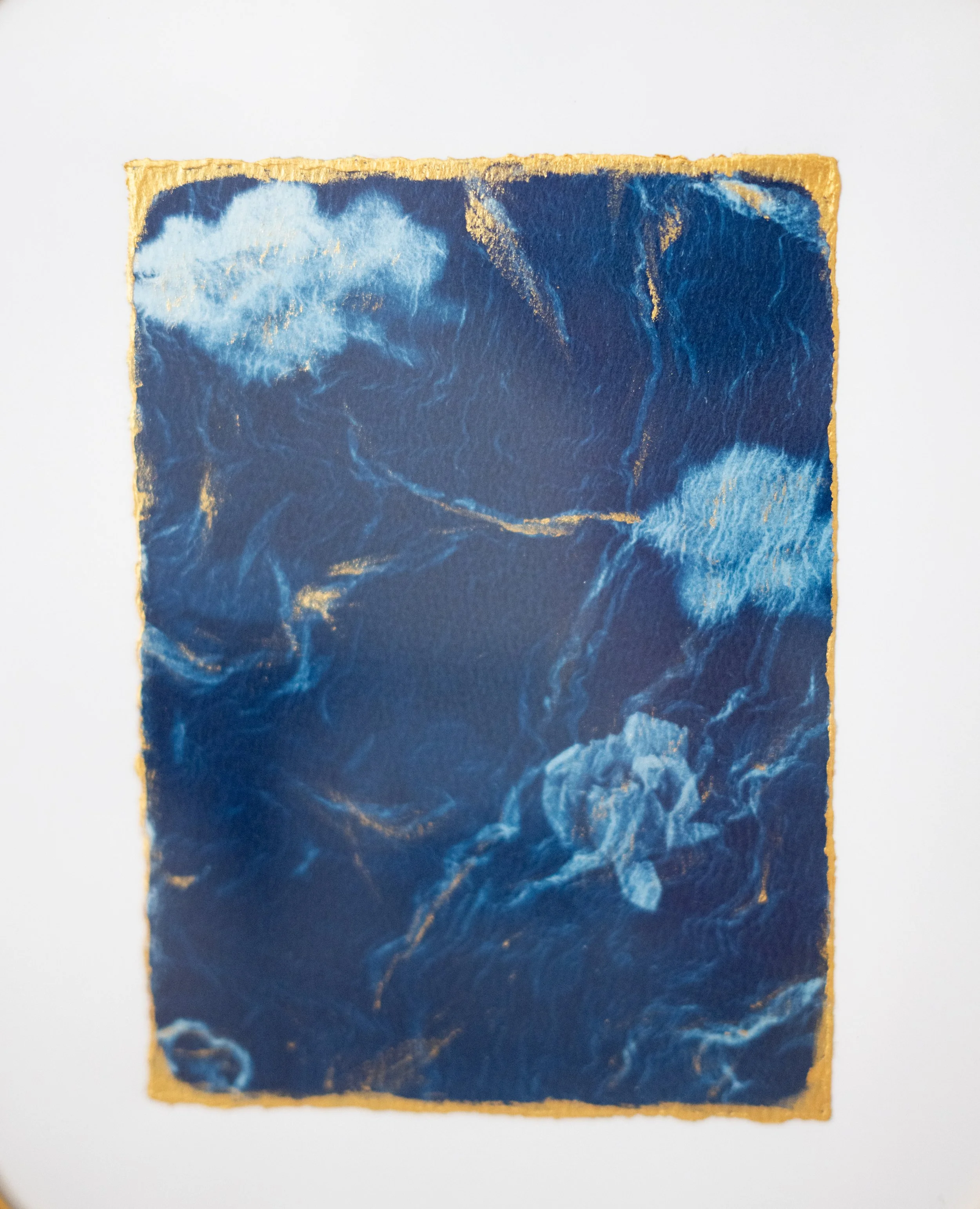 cyanotypes-20.jpg