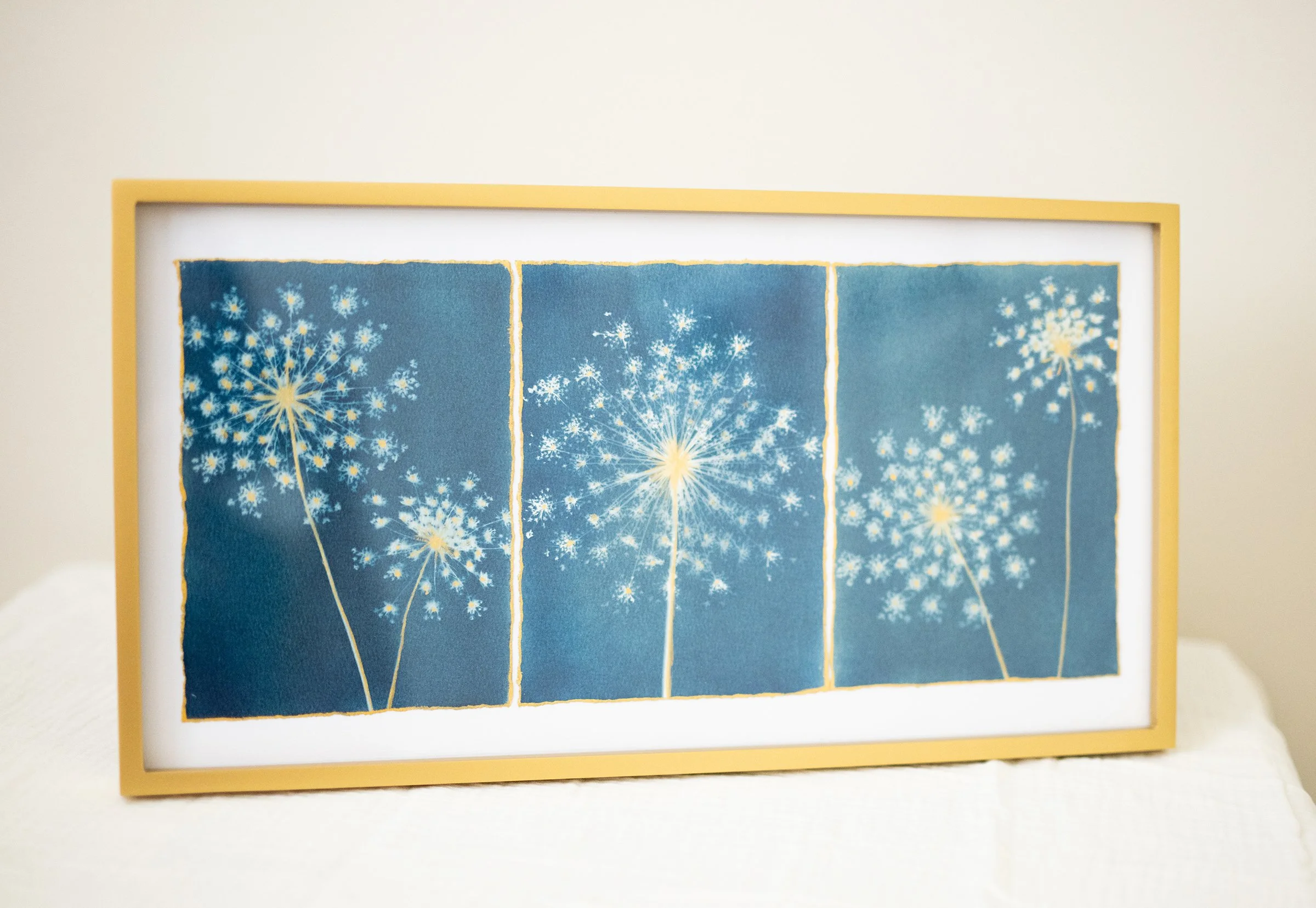 cyanotypes-27.jpg