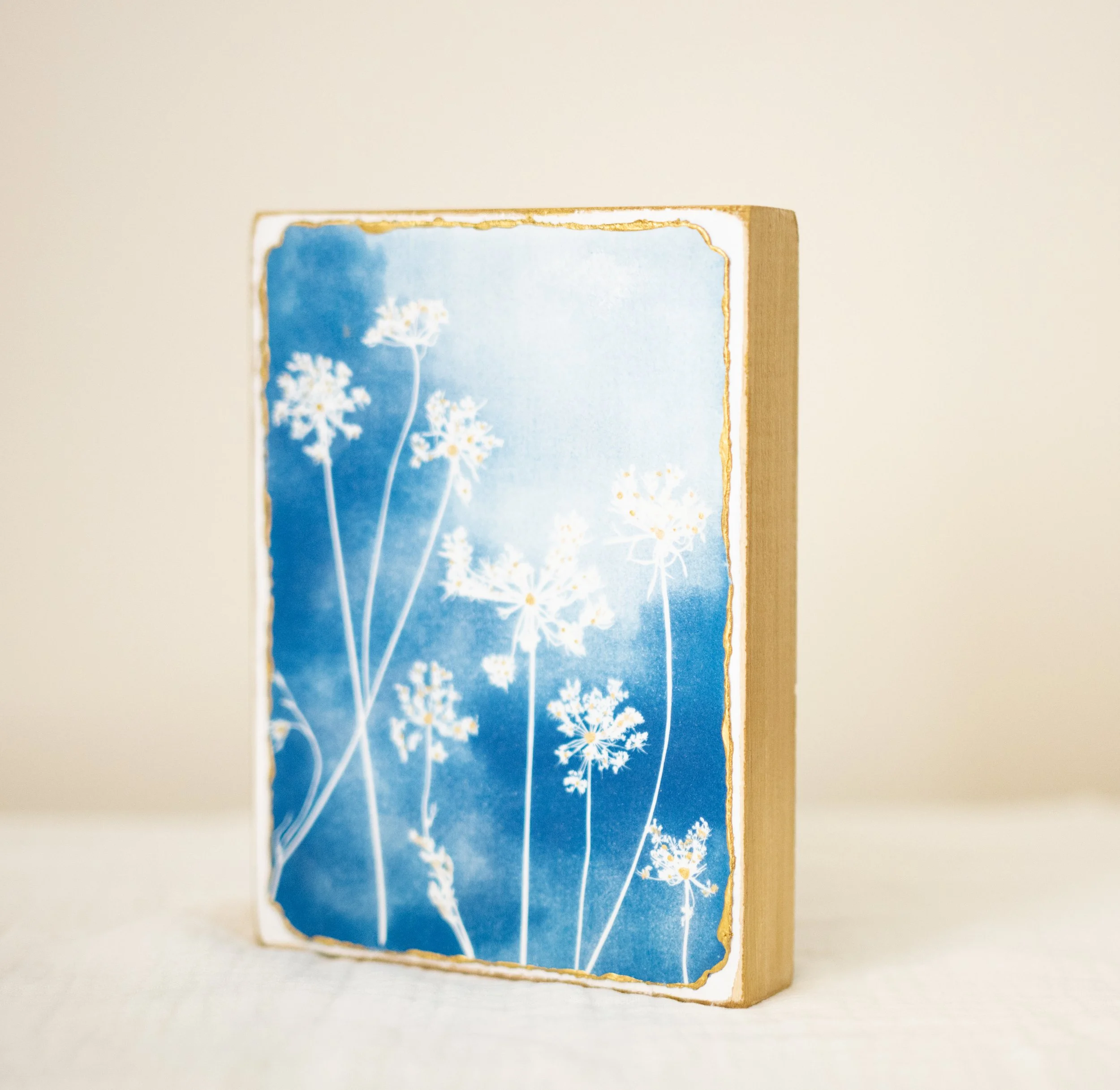 cyanotypes-5.jpg