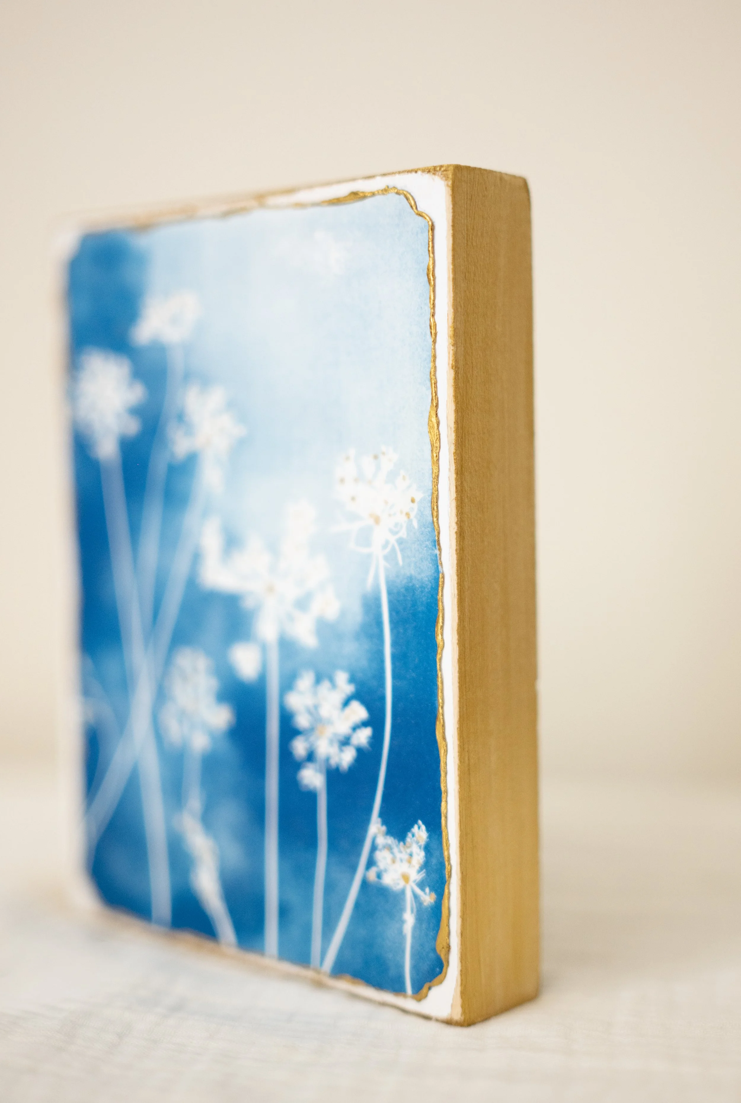 cyanotypes-6.jpg
