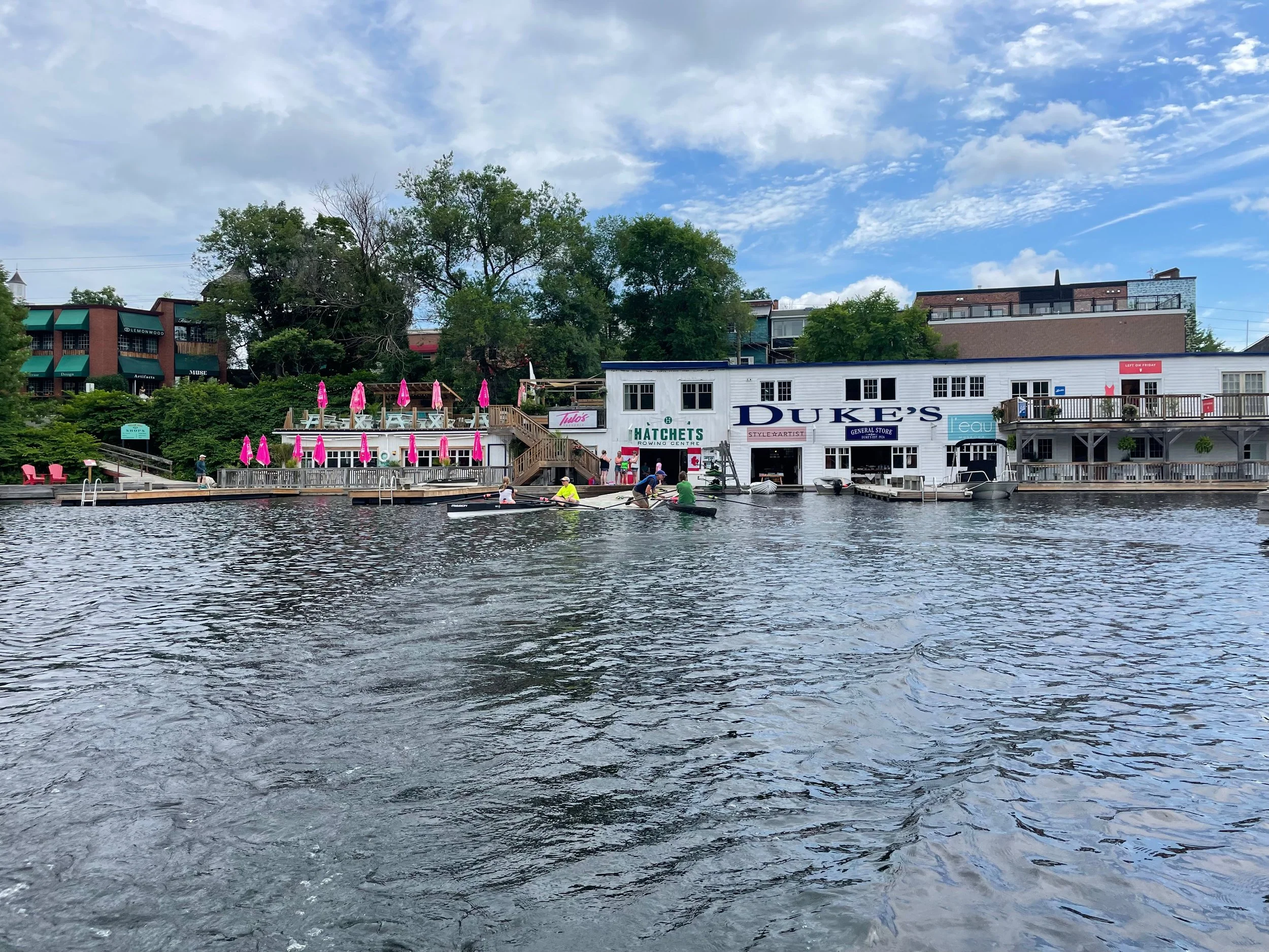 Summer 2024 Newsletter Week 2