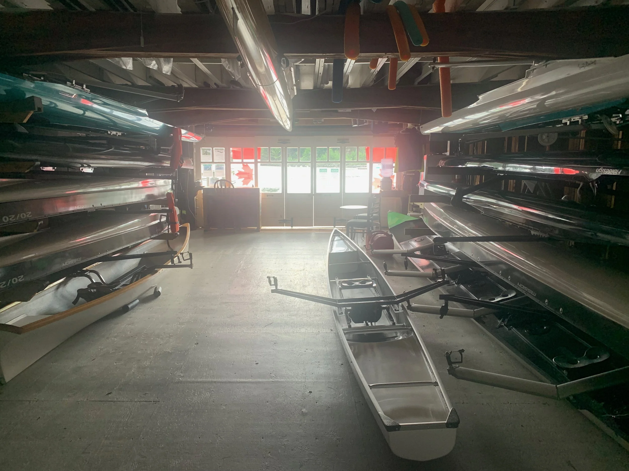 Summer 2024 Newsletter Week 3