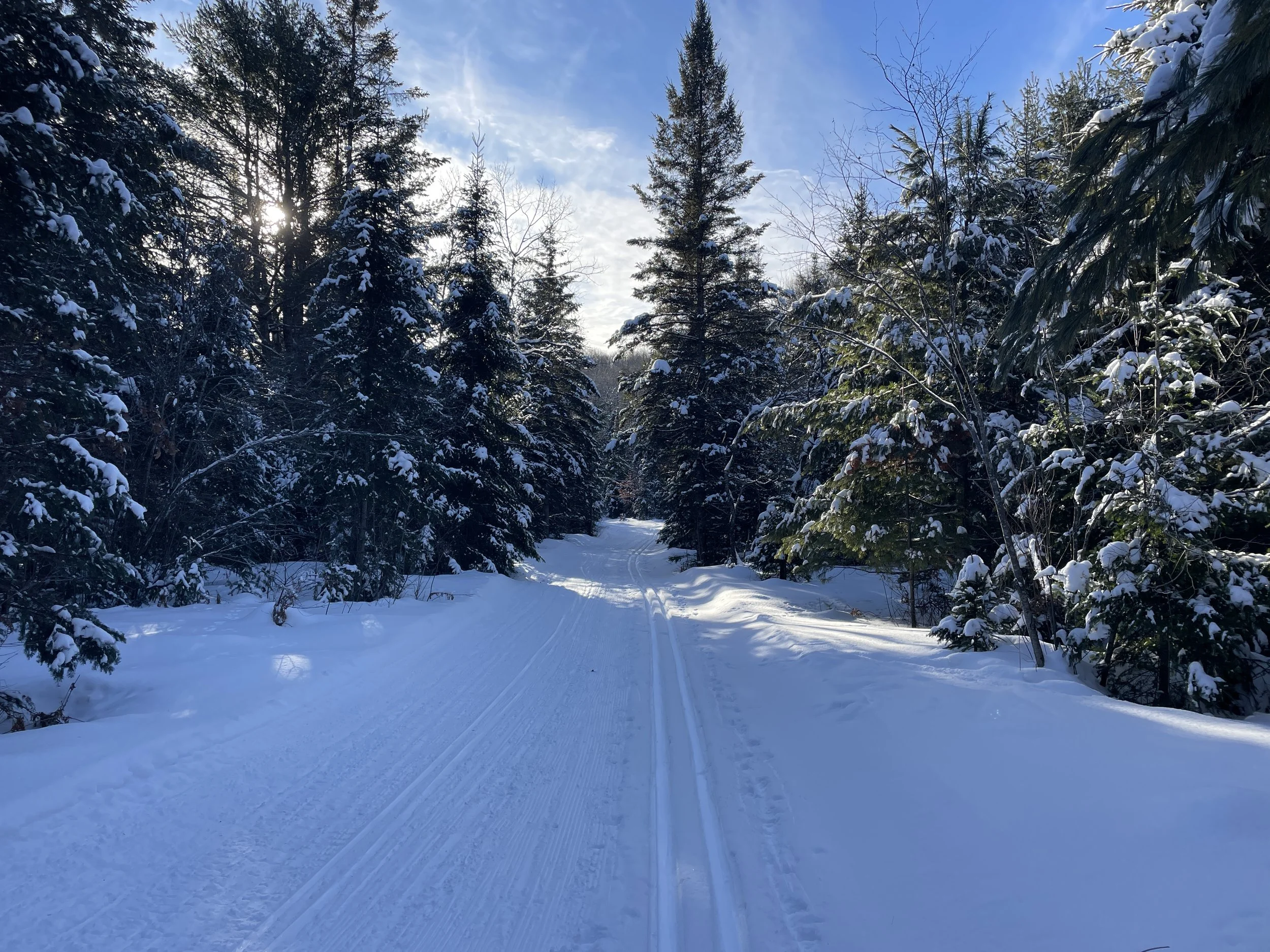 January 2026 Newsletter