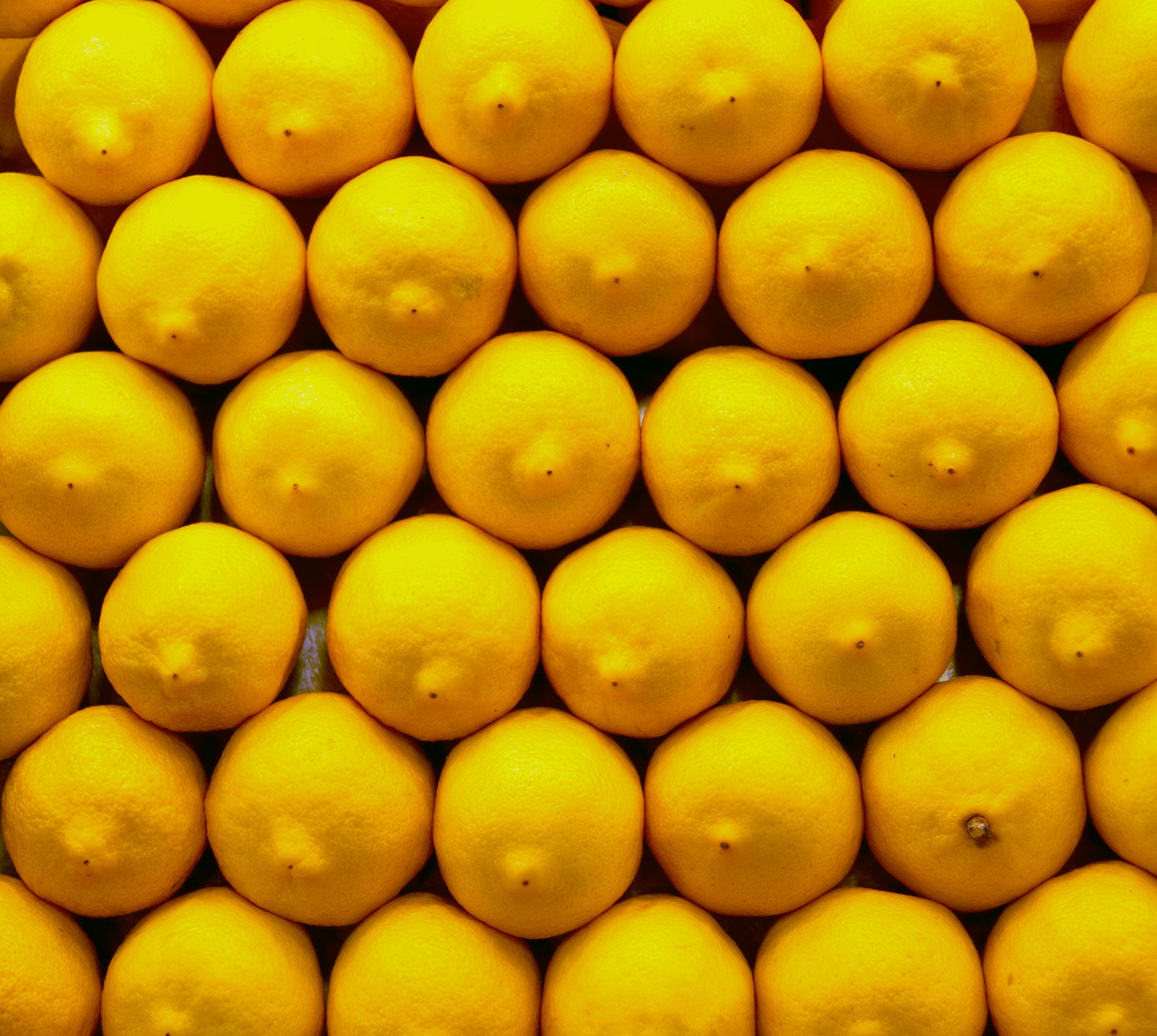 lemons.jpg