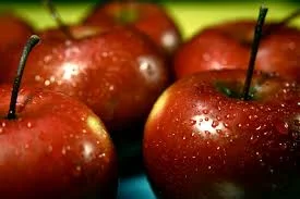 Apple photo.jpg