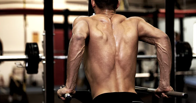back_dips_color.jpg