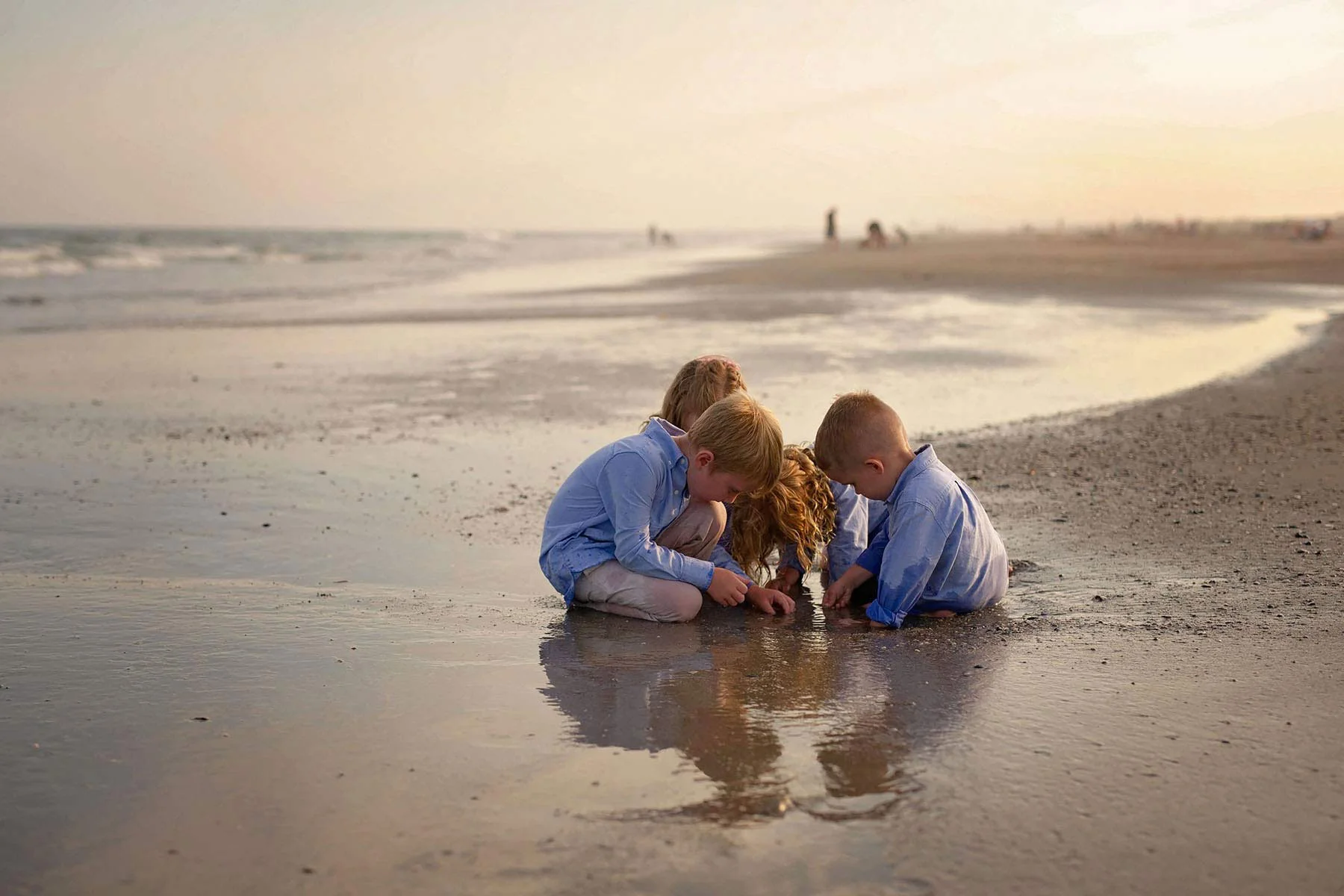 Kids_search_for_crabs_in_ocean_city_nj.jpg
