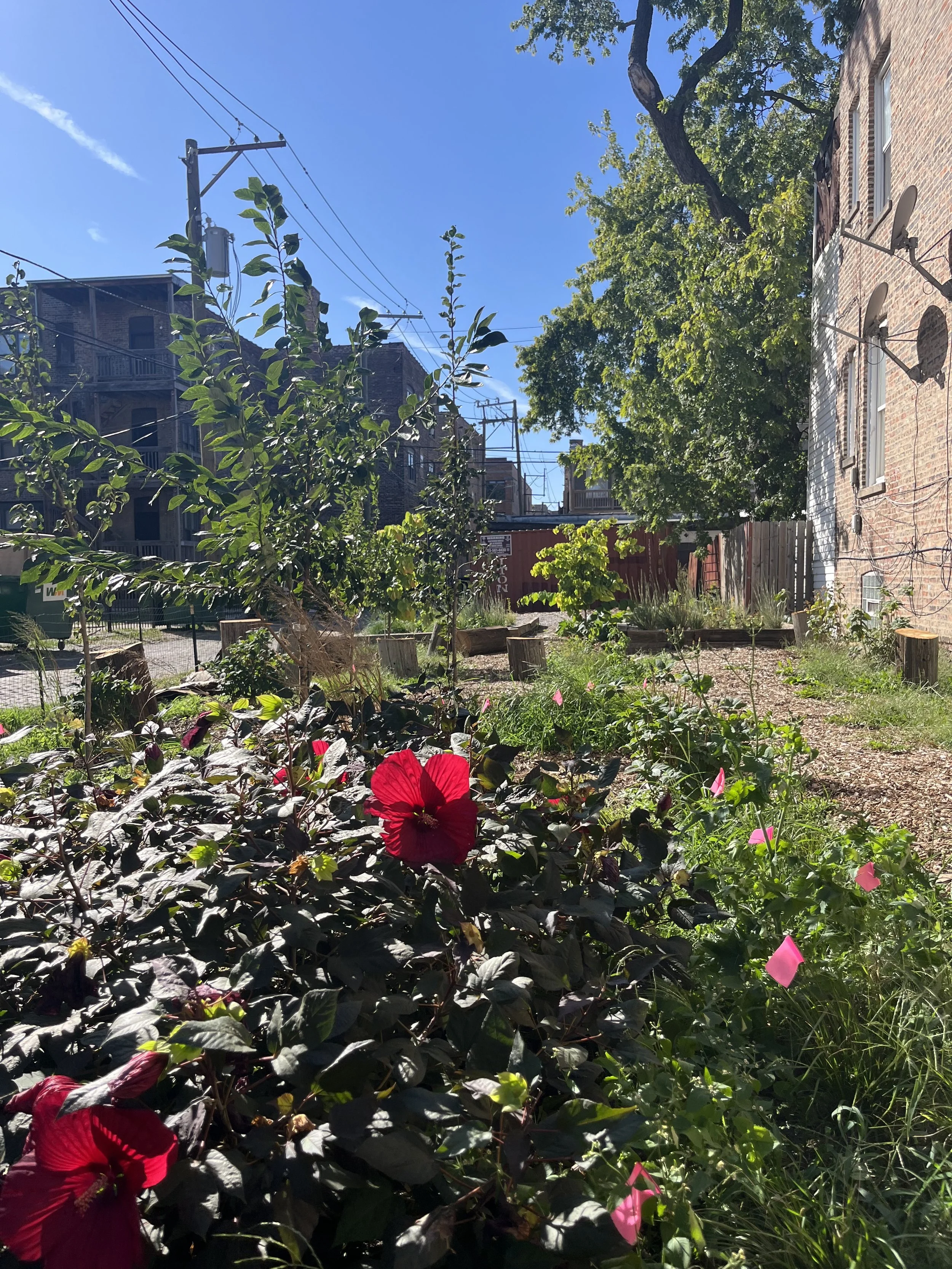 Photo Oct 05 2025, 2 53 24 PM.jpg