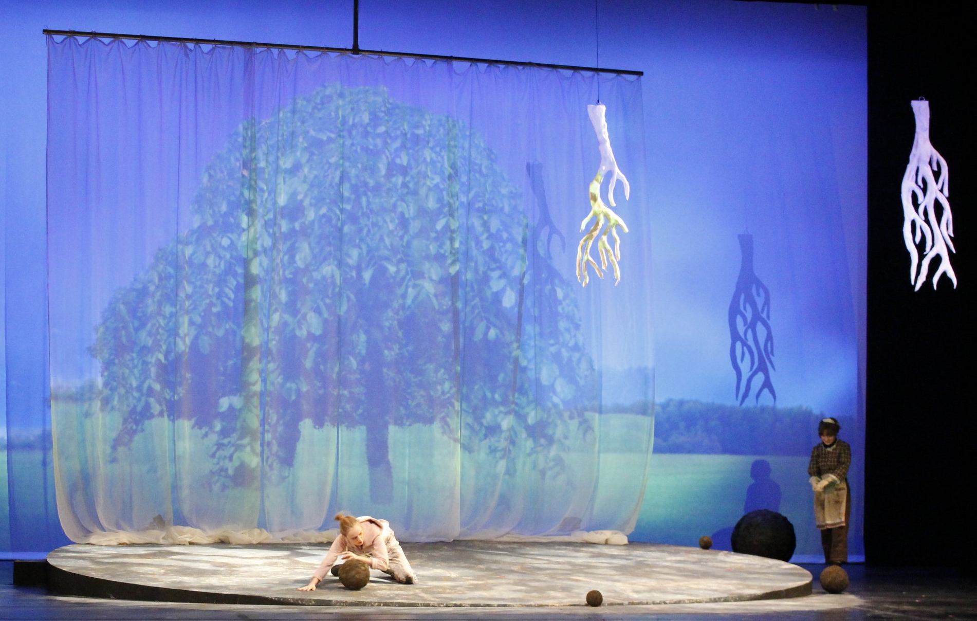 Rolling the dung balls