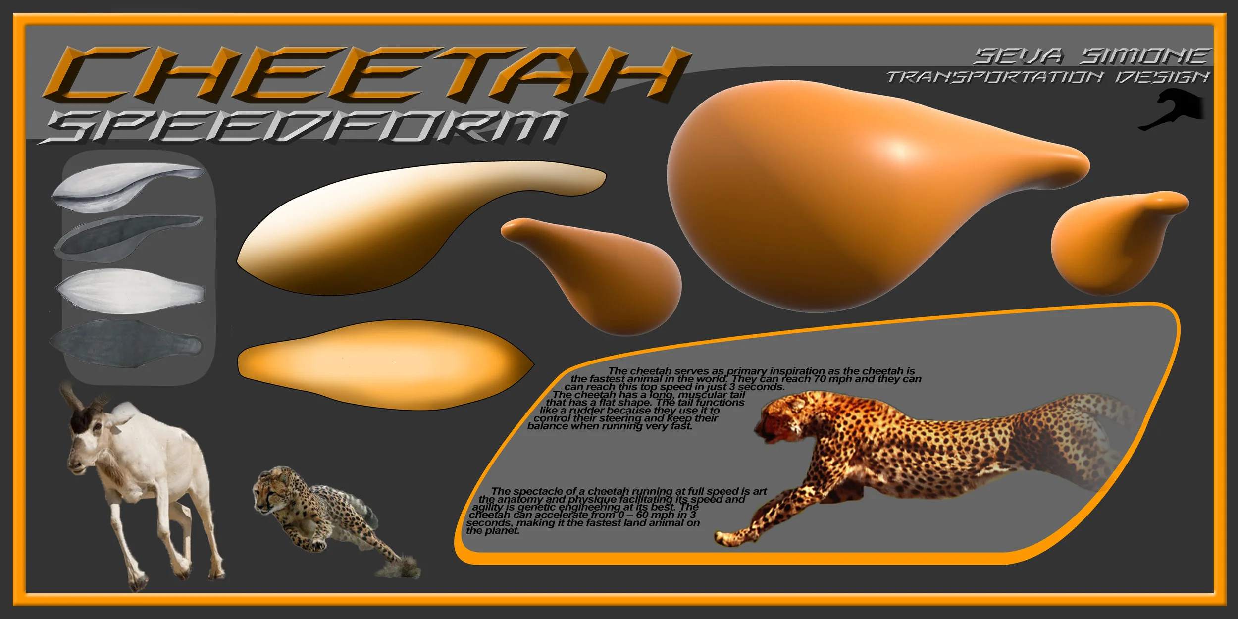 Seva Simone SpeedForm Board.jpg