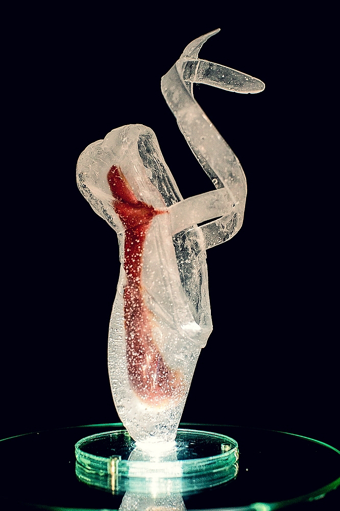 Cast Glass 2016 -