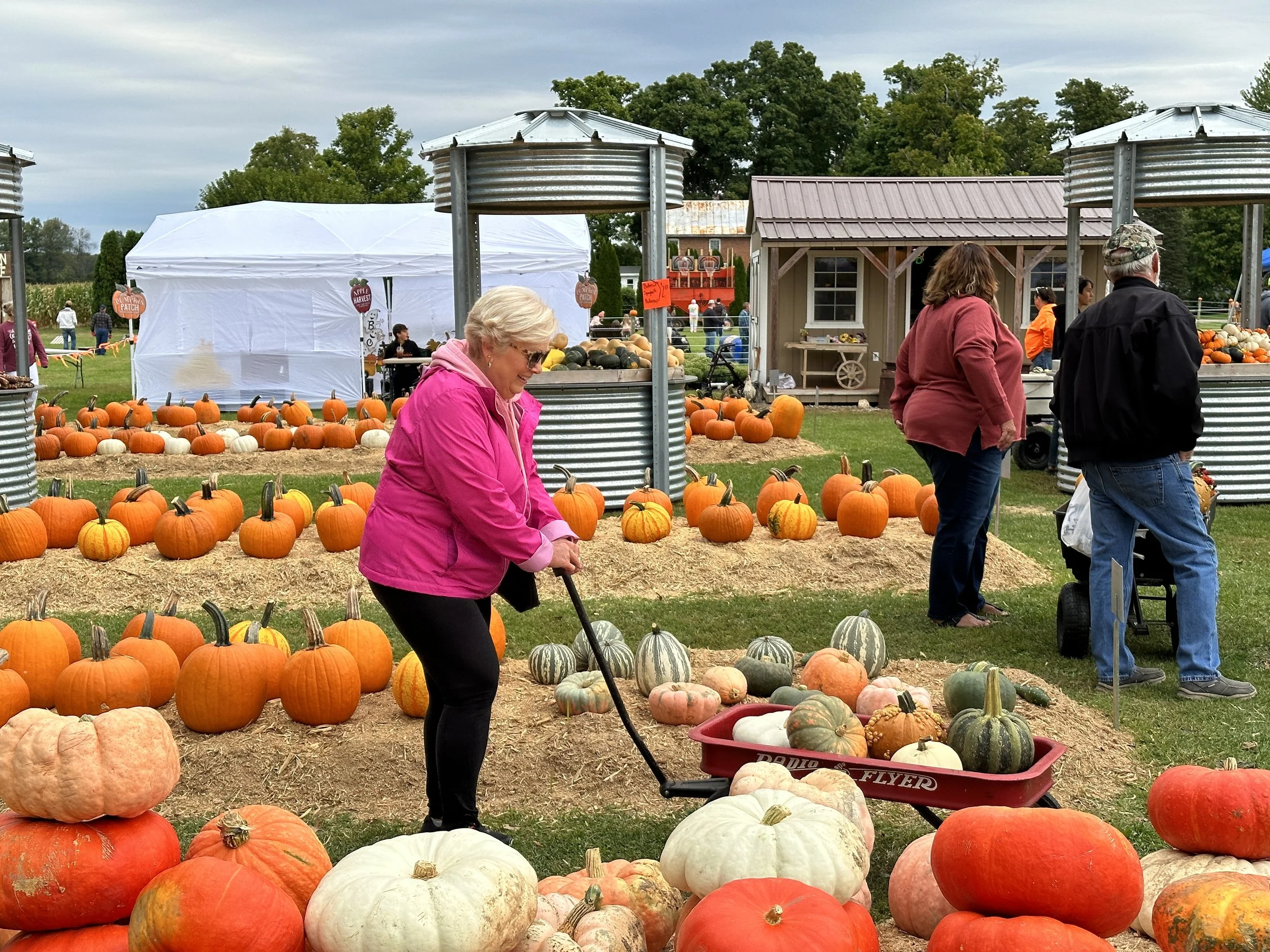Opening Day for Pumpkin Sales