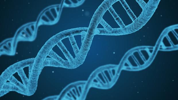 Genetics testing.jpg