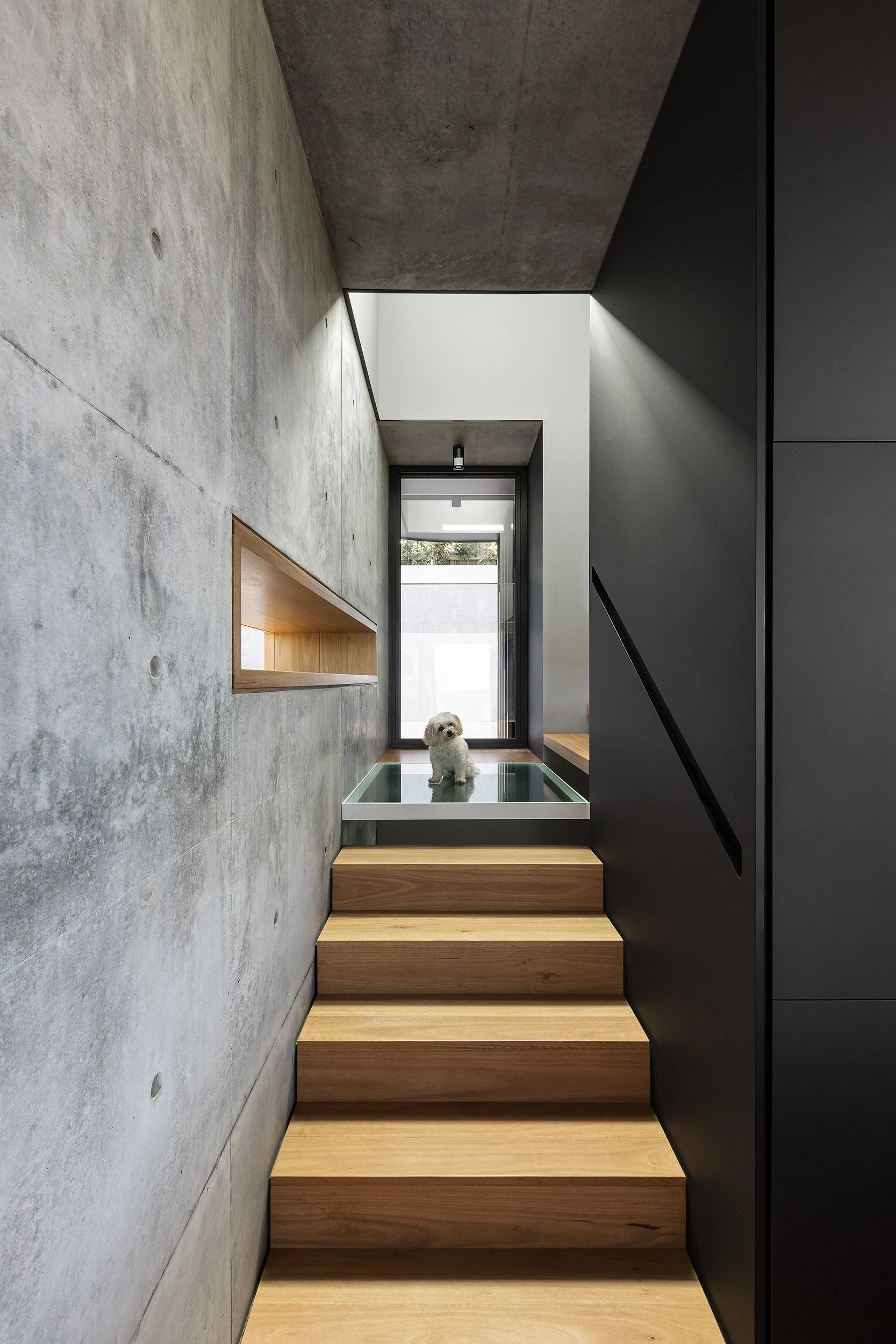 Pandanus House | Sparks Architects