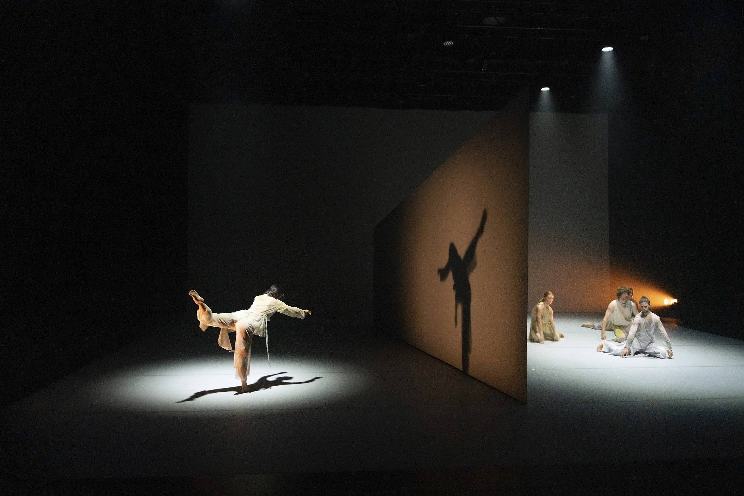 Dust | Liminal Studio 