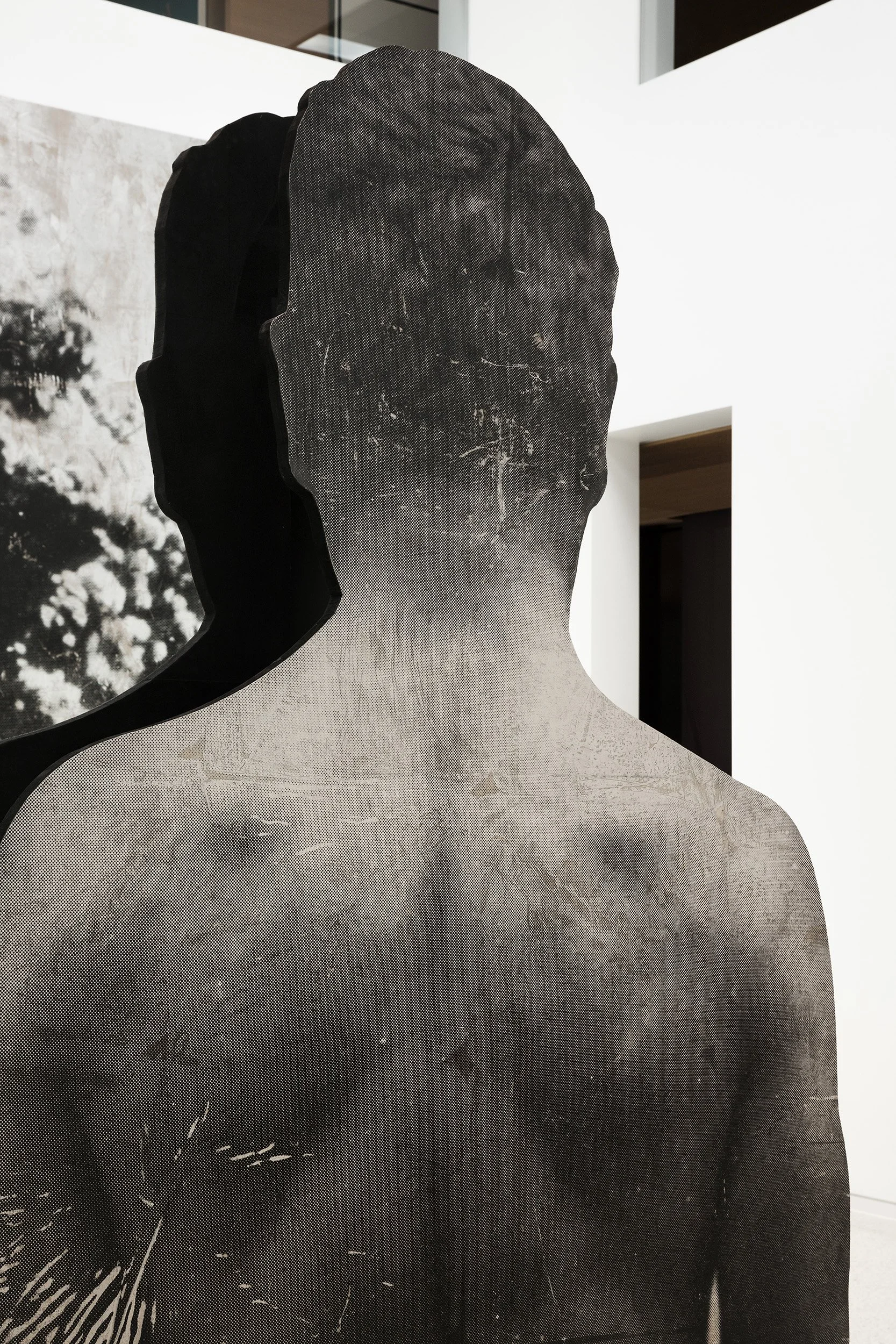 Brook Andrew | Witness | Lyon House Museum 