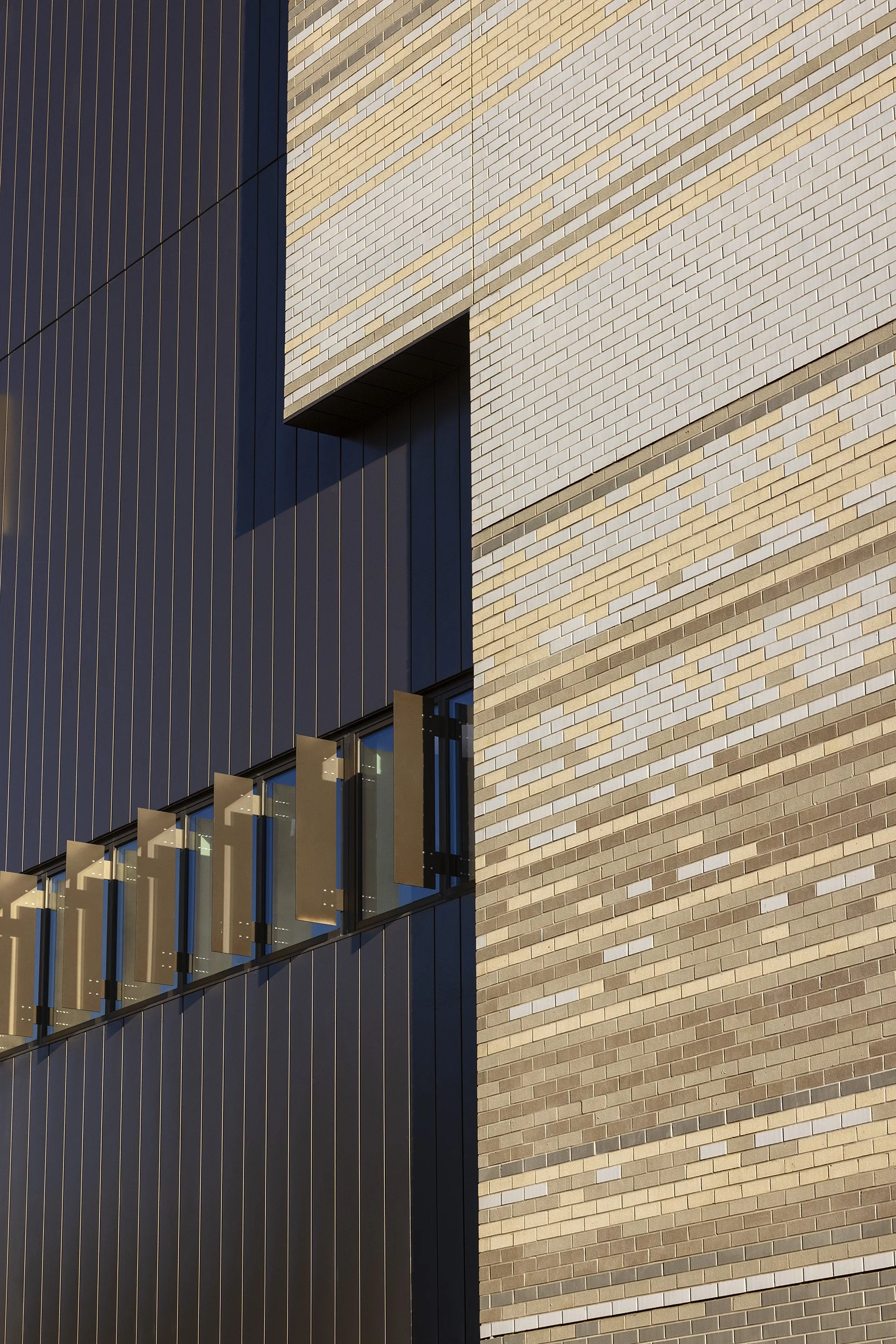 Sunshine Mental Health and Wellbeing Centre | NH Architecture + NTC Architects