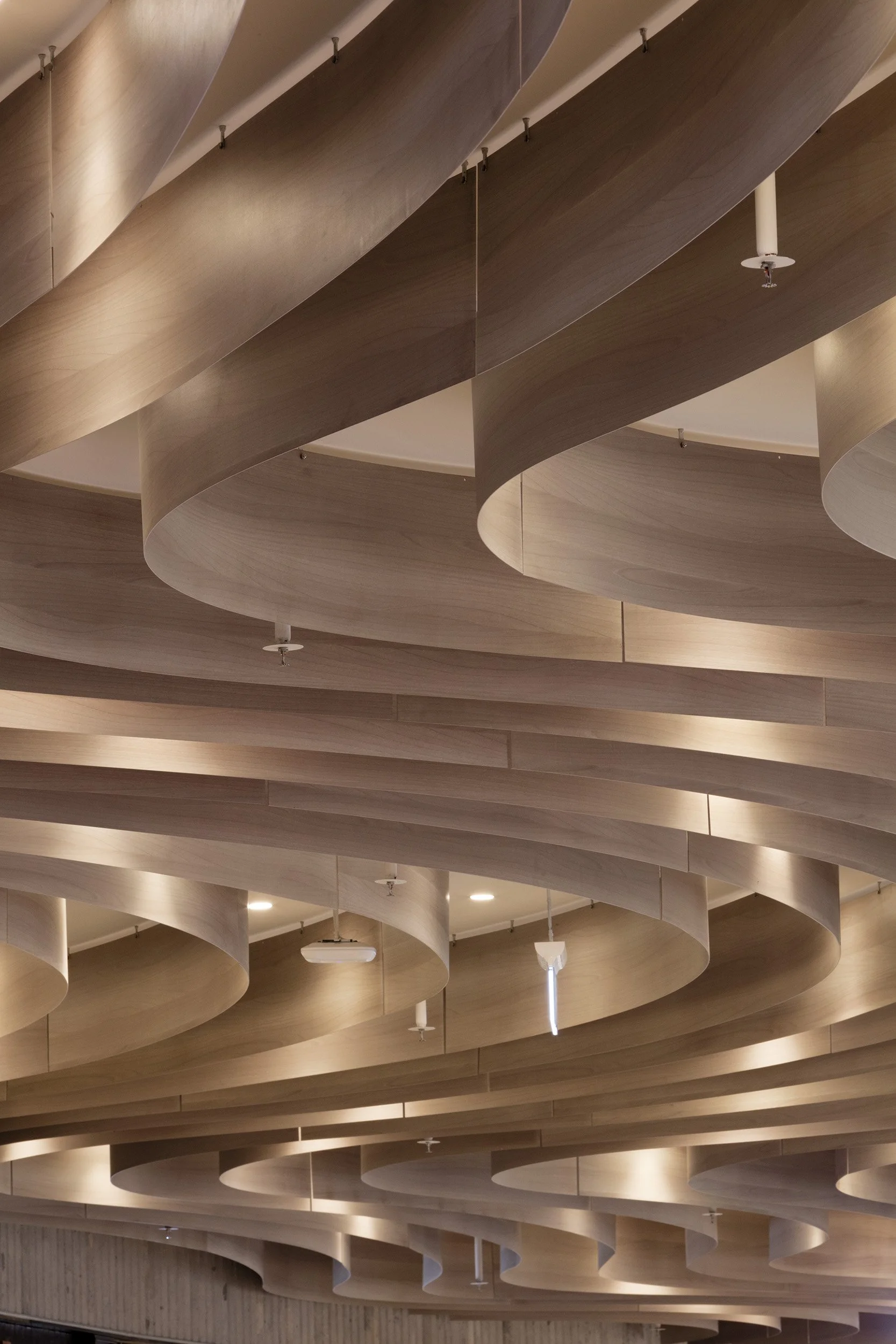 Chadstone Food Atrium  | Luchette Krelle