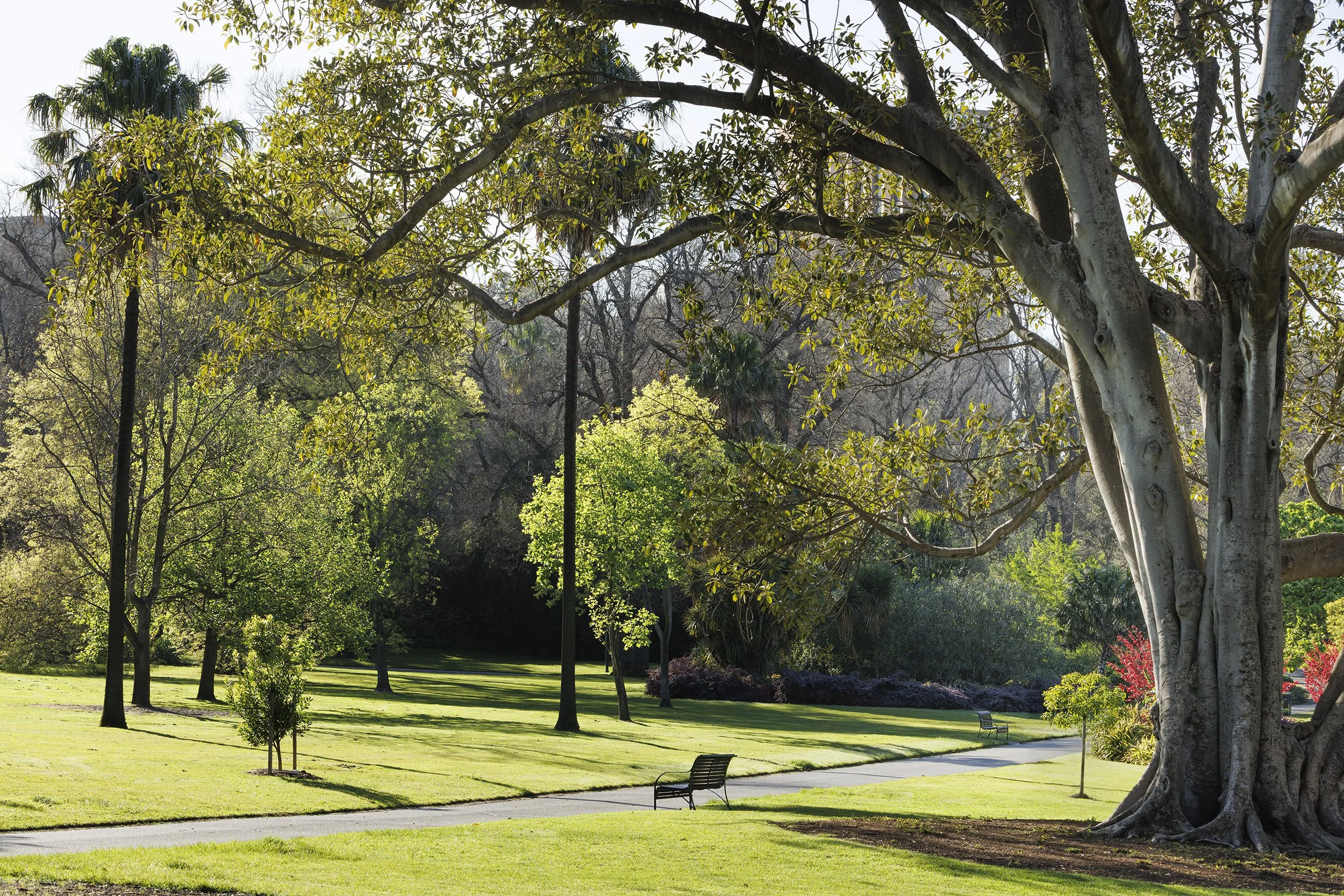 Fitzroy Gardens | Melbourne