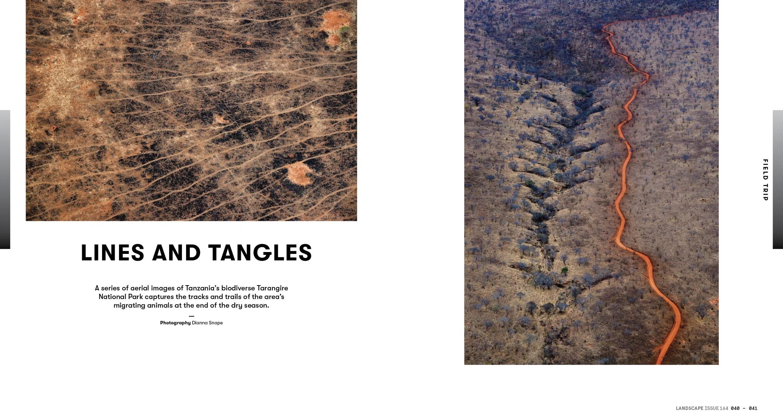 040 LA164_Fieldtrip_Tanzania-1.jpg