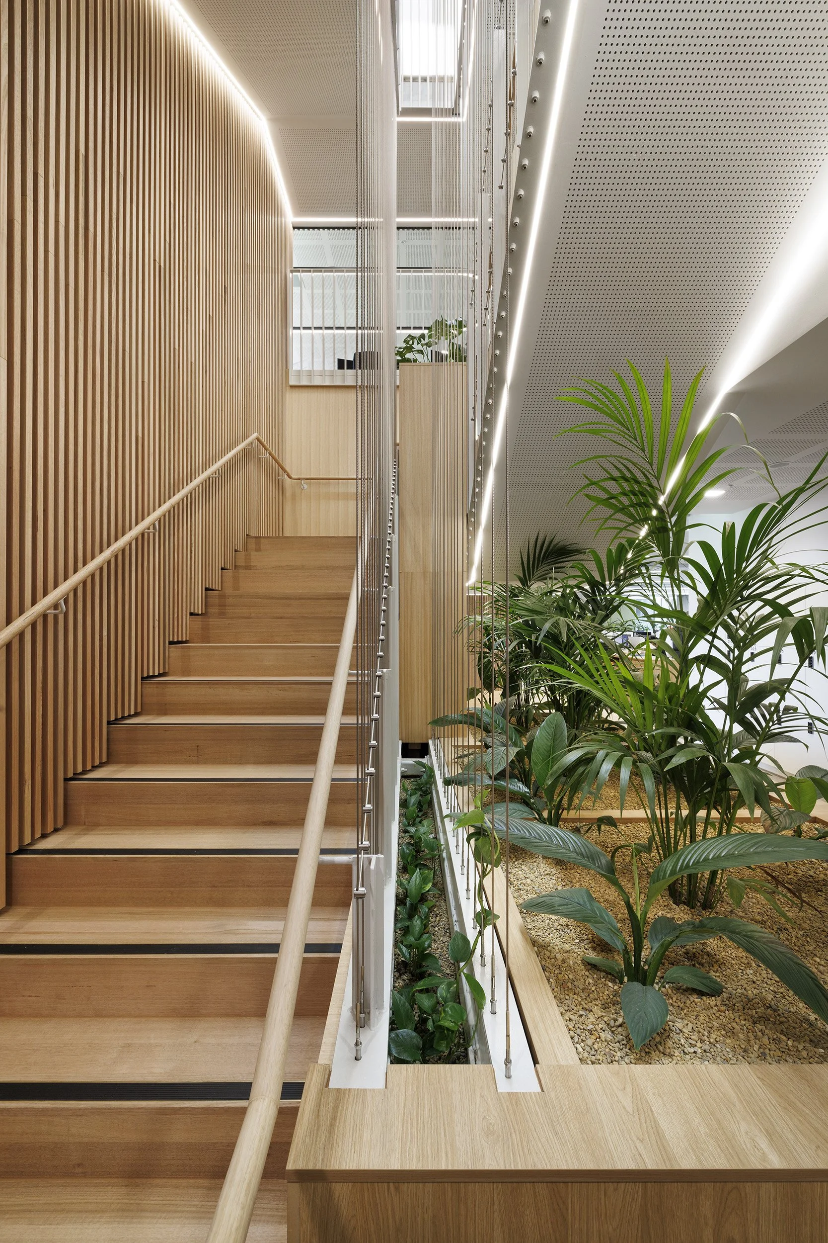 Maribynong Civic Precinct and Community Hub | DesignInc