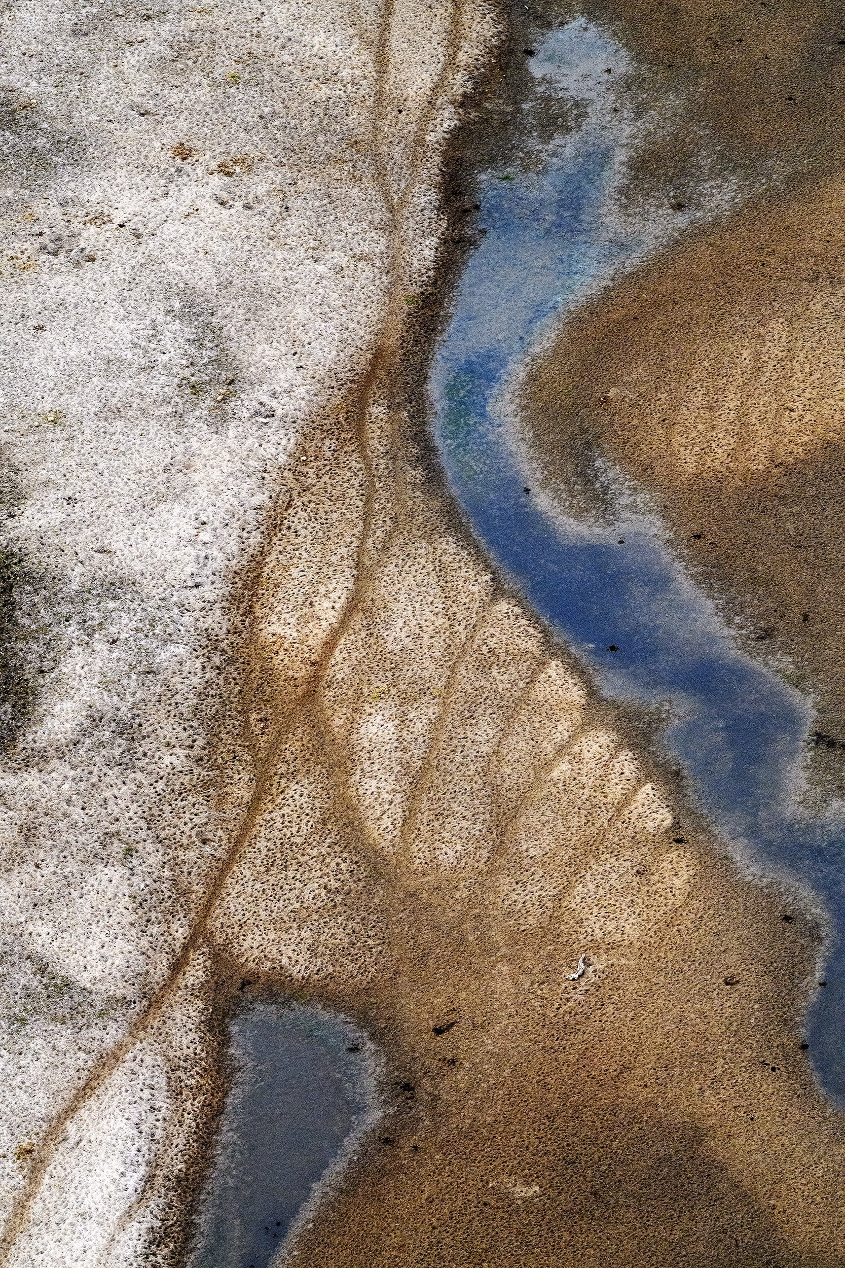 Tarangire National Park | Tanzania