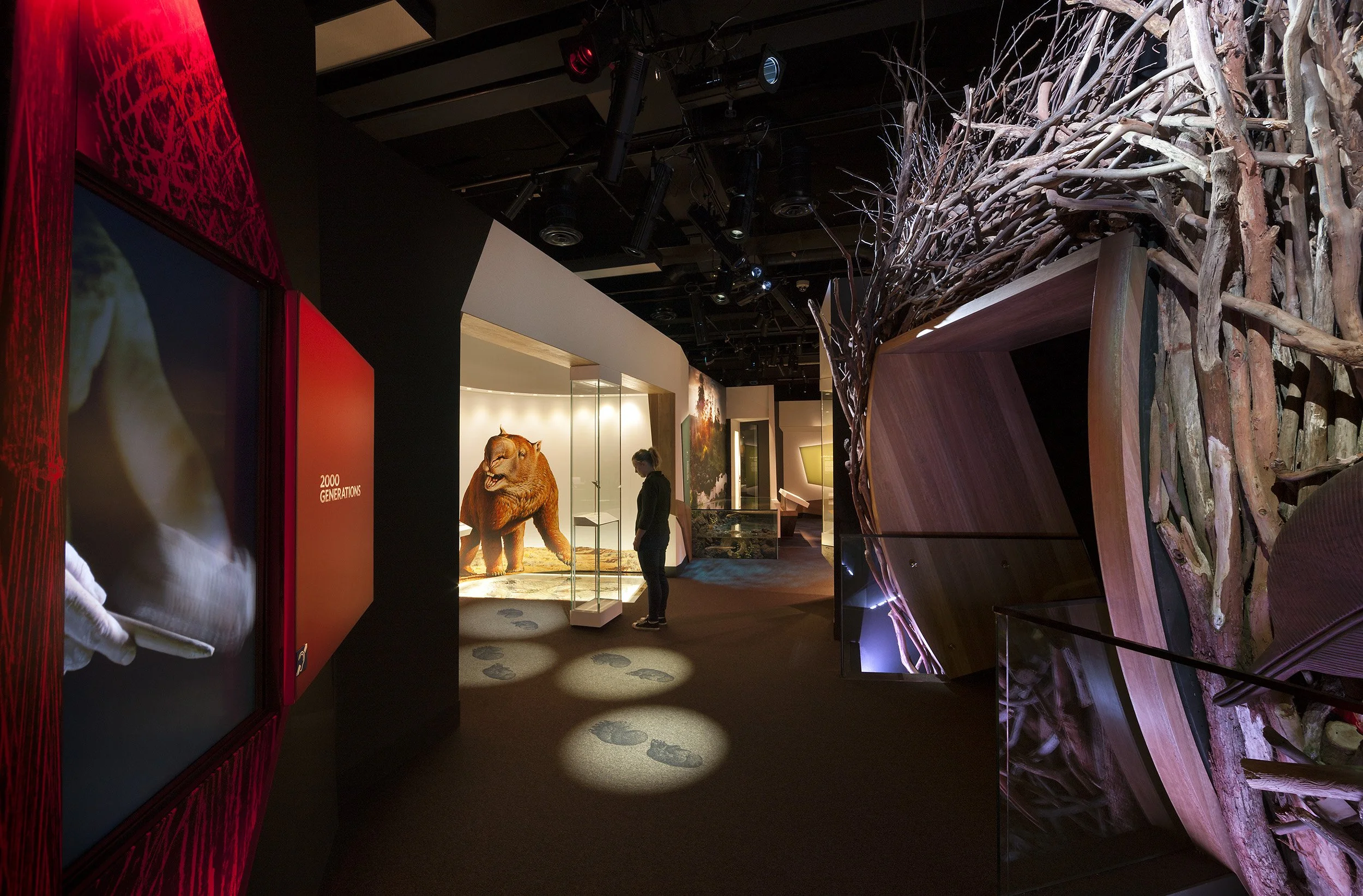 First Peoples Exhibition | Melbourne Museum
