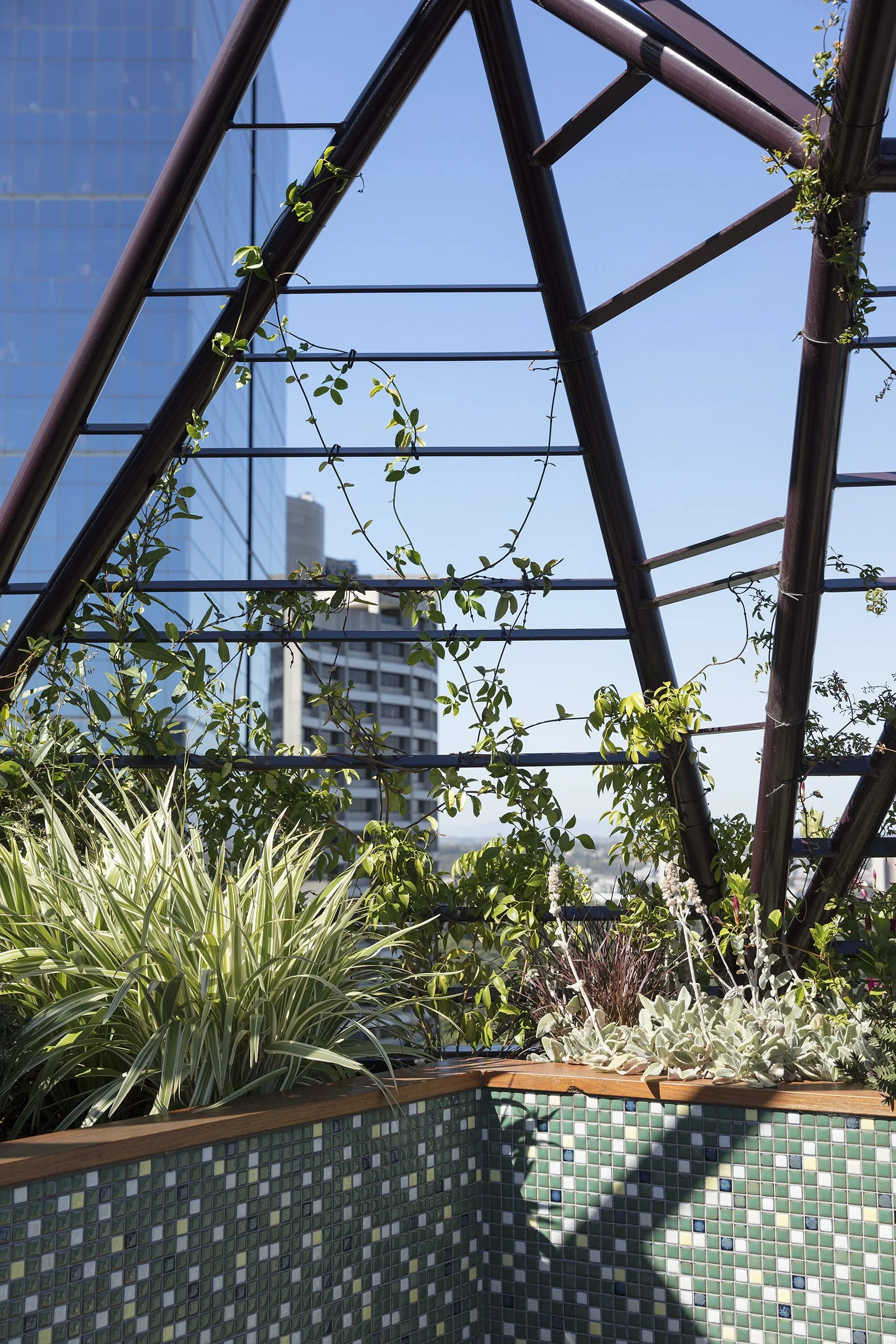 Phoenix Rooftop | Bent Architecture 