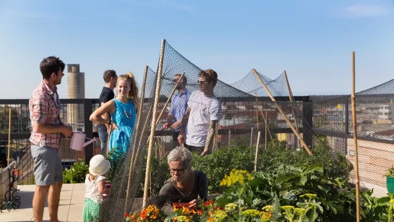Residents on the rooftop of The Commons, Brunswick, Melbourne.