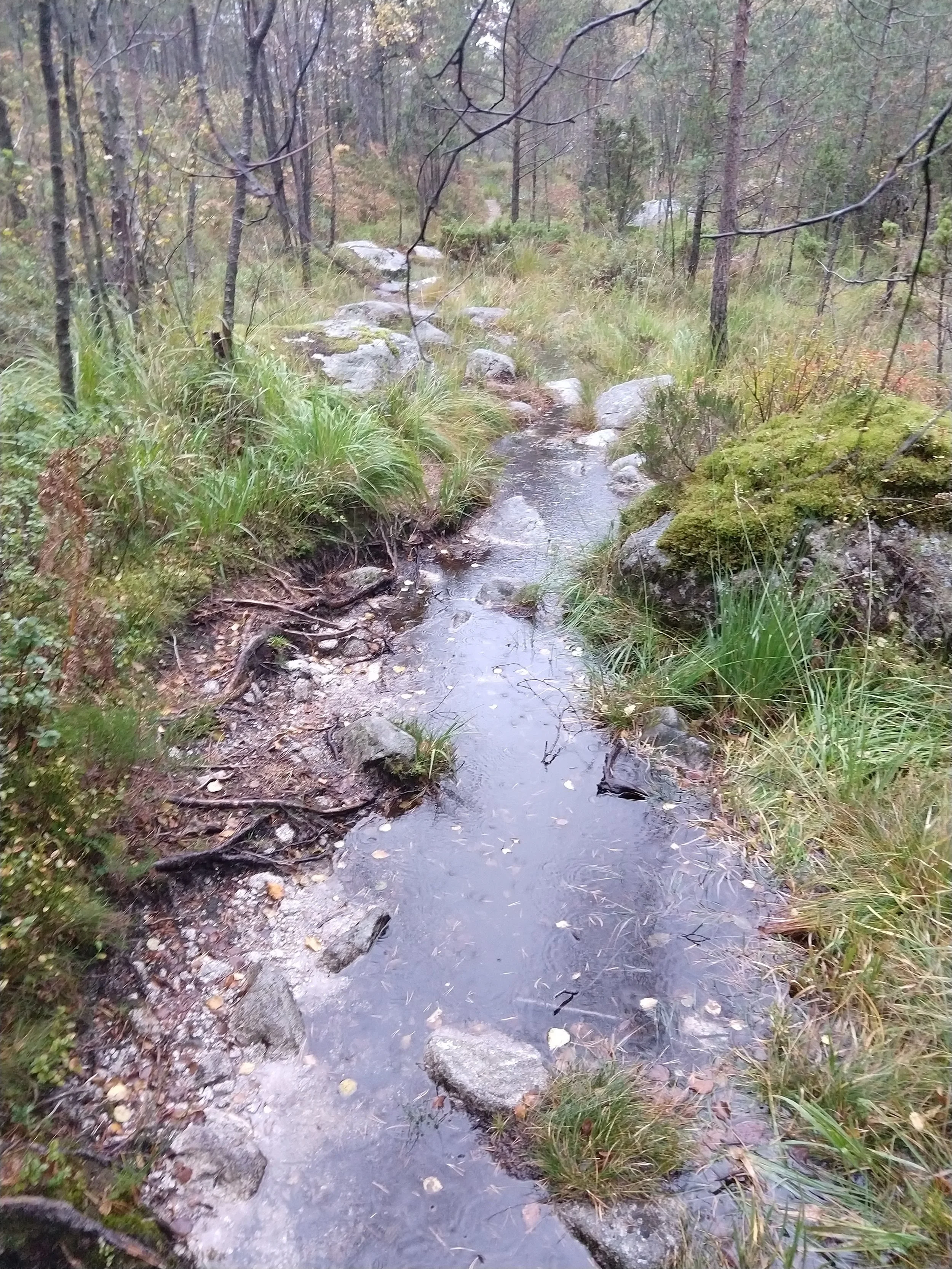 Hiking3.jpg